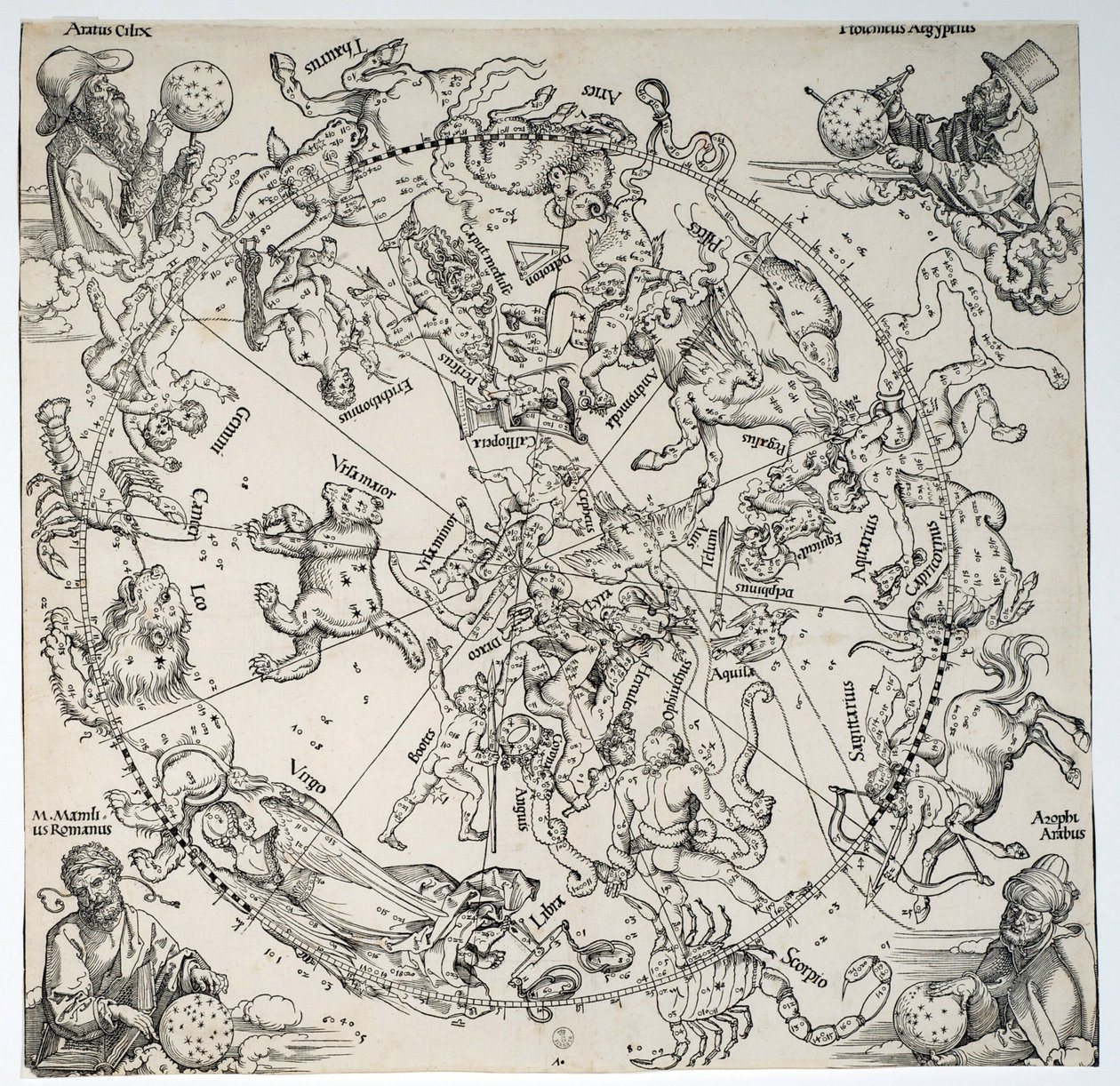 Ukendt billede af Albrecht Dürer