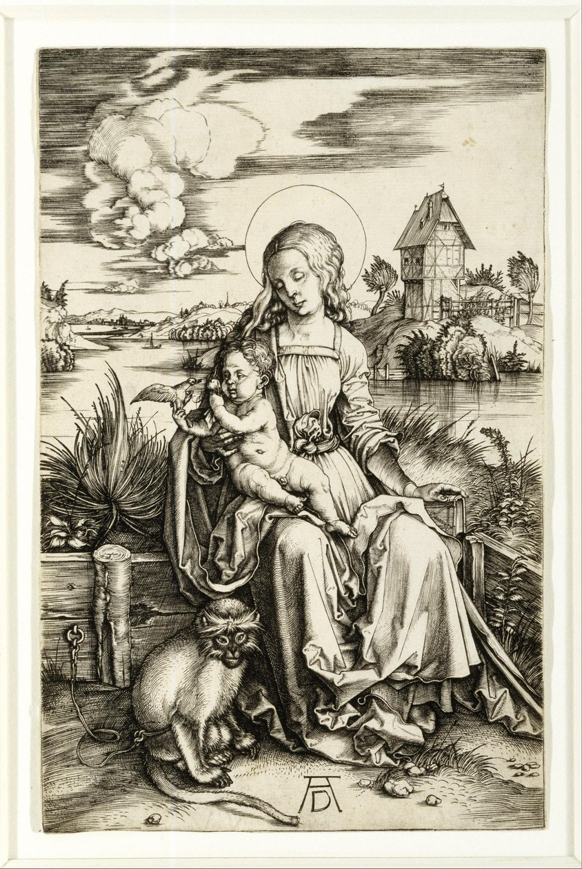 Jomfru og barn med aben af Albrecht Dürer