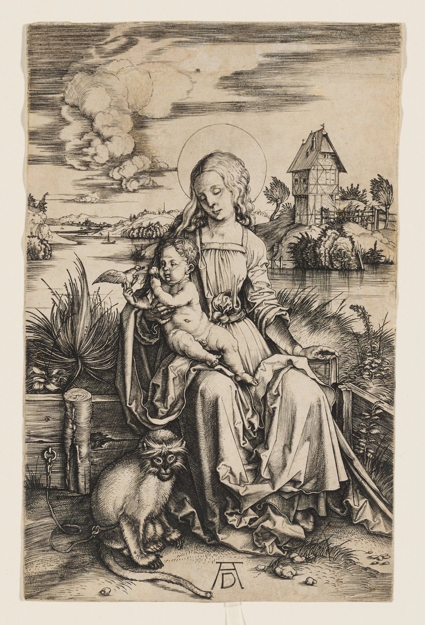 Jomfru Maria med barnet og aben af Albrecht Dürer