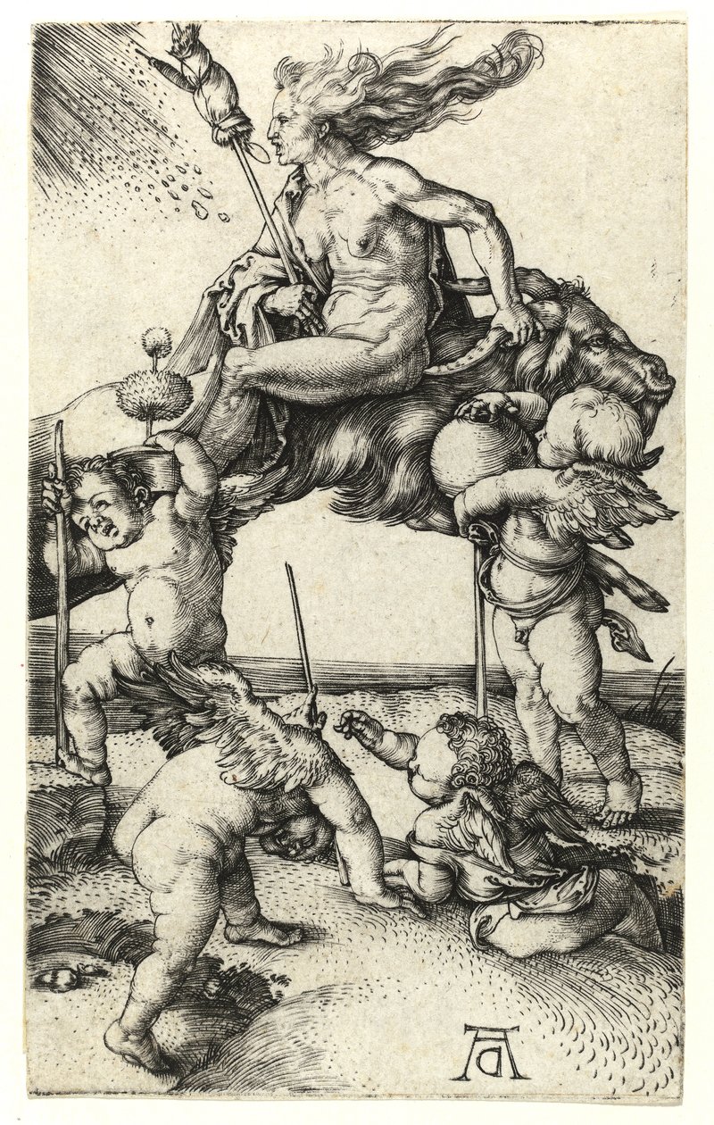 Heks rider baglæns på en ged, ca. 1505 af Albrecht Dürer