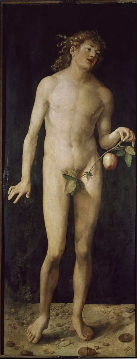 Adam (olie på træ af Albrecht Dürer