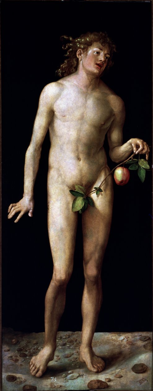  af Albrecht Dürer or Duerer