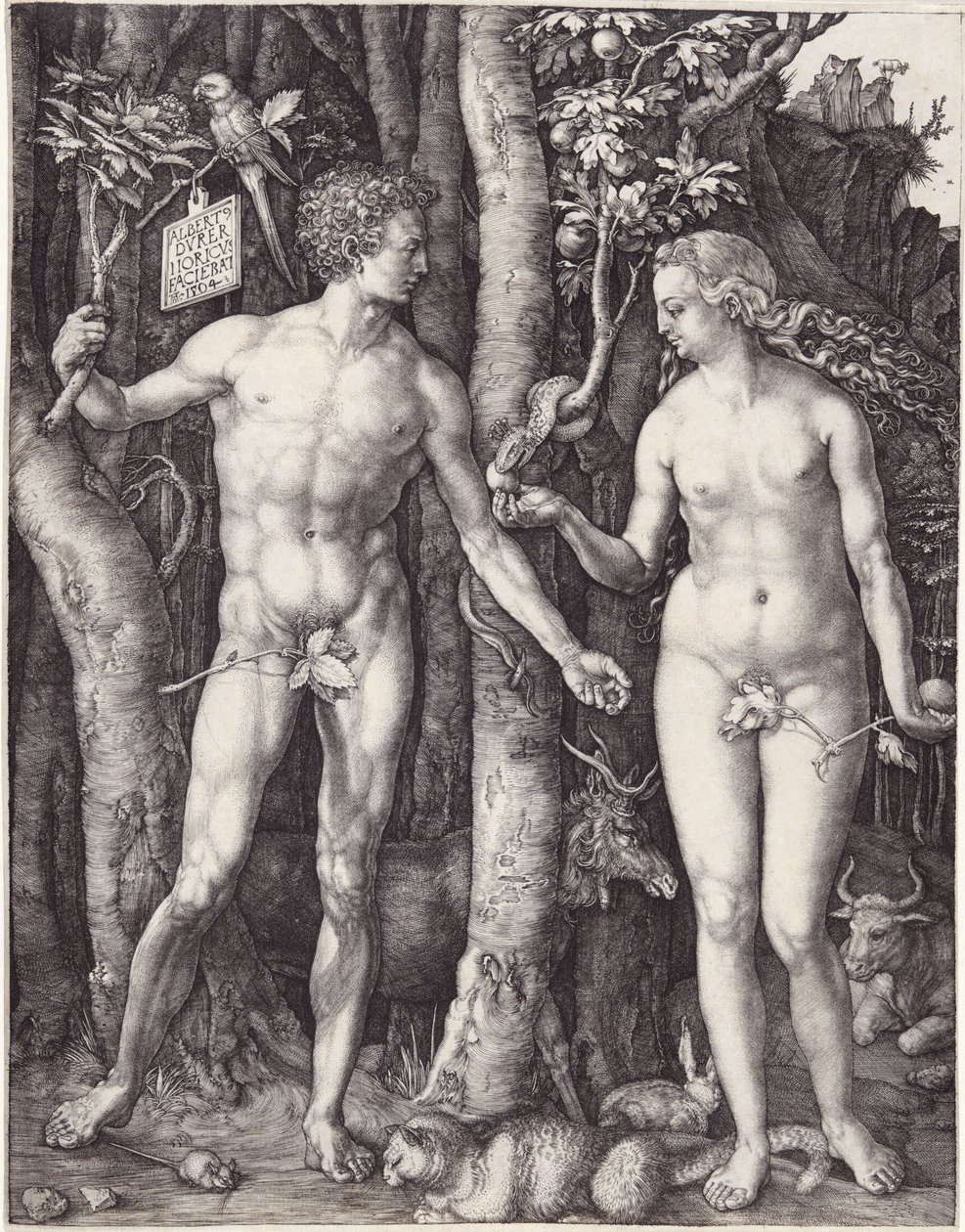 Adam og Eva, pub. 1504 (gravering) af Albrecht Dürer