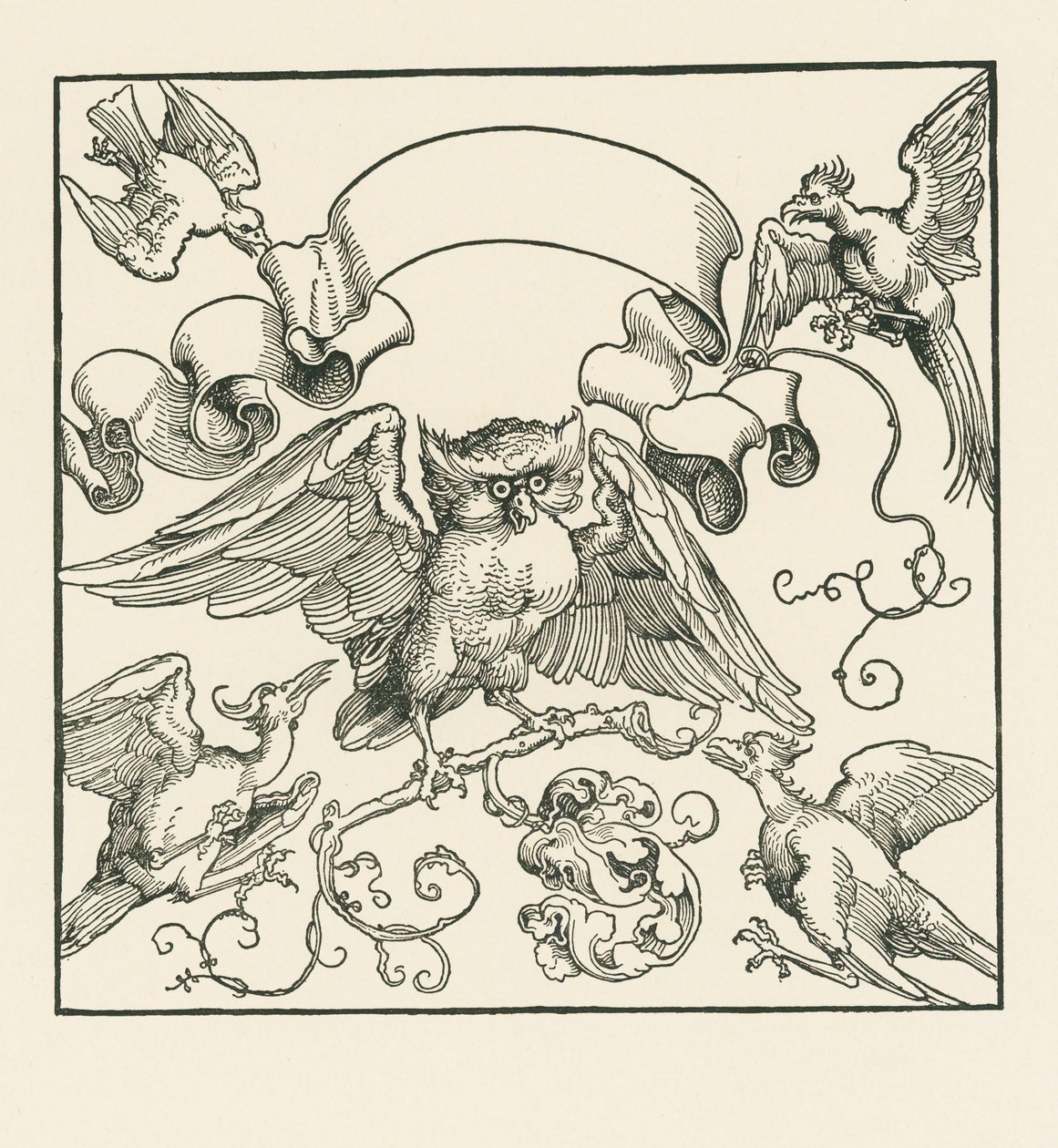 En ugle angrebet af fire andre fugle, ca. 1515 (træsnit) af Albrecht Dürer or Duerer