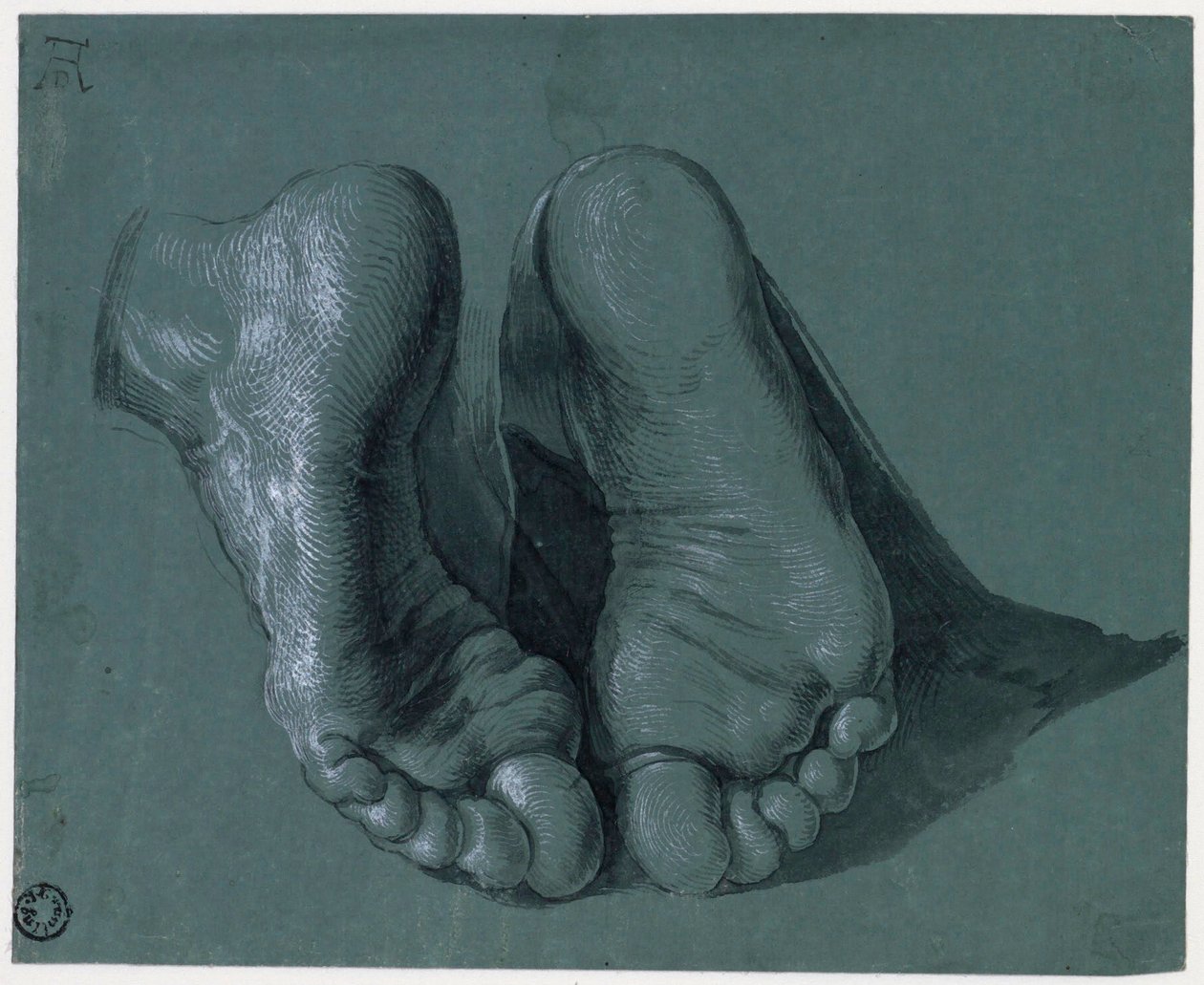 Etude de pieds - Study of Two Feet - Tegning af Albrecht Durer (1471-1528), Akvarel, hvid farve, sort kridt på papir, c1508 (17,6x21,6cm) - Museum Boijmans Van Beuningen, Rotterdam af Albrecht Dürer
