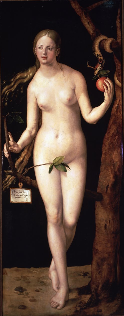  af Albrecht Dürer or Duerer