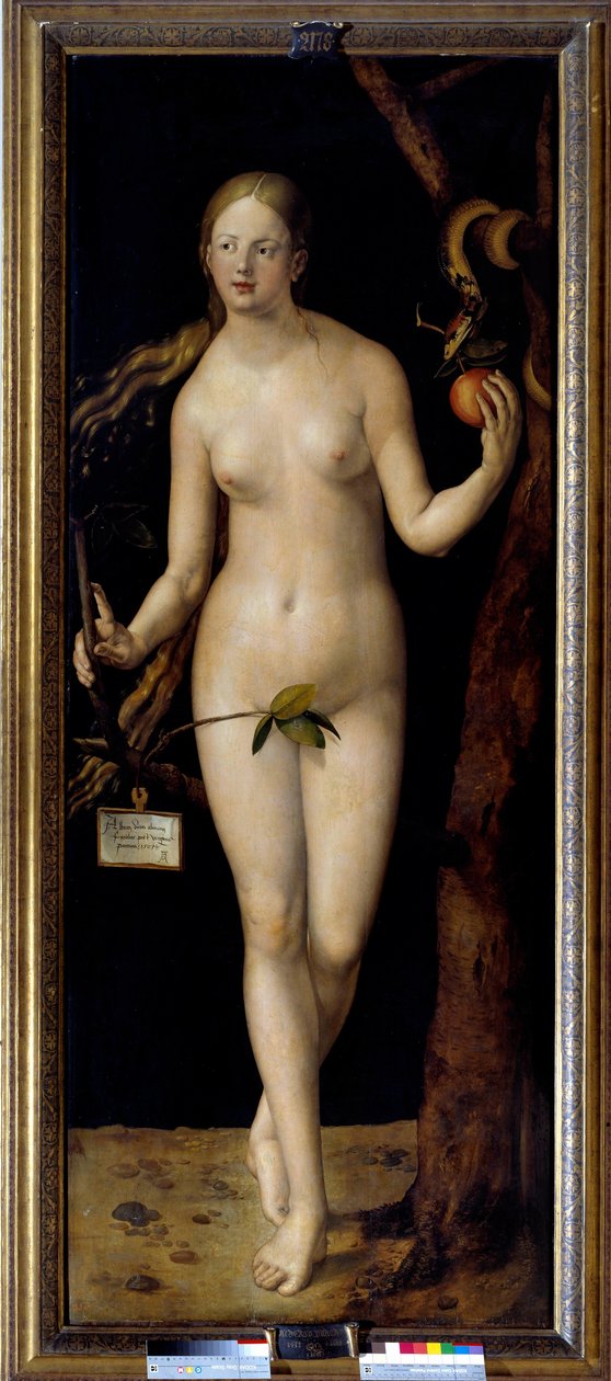 Eva-maleri af Albrecht Durer (1471-1528), olie på træ af Albrecht Dürer