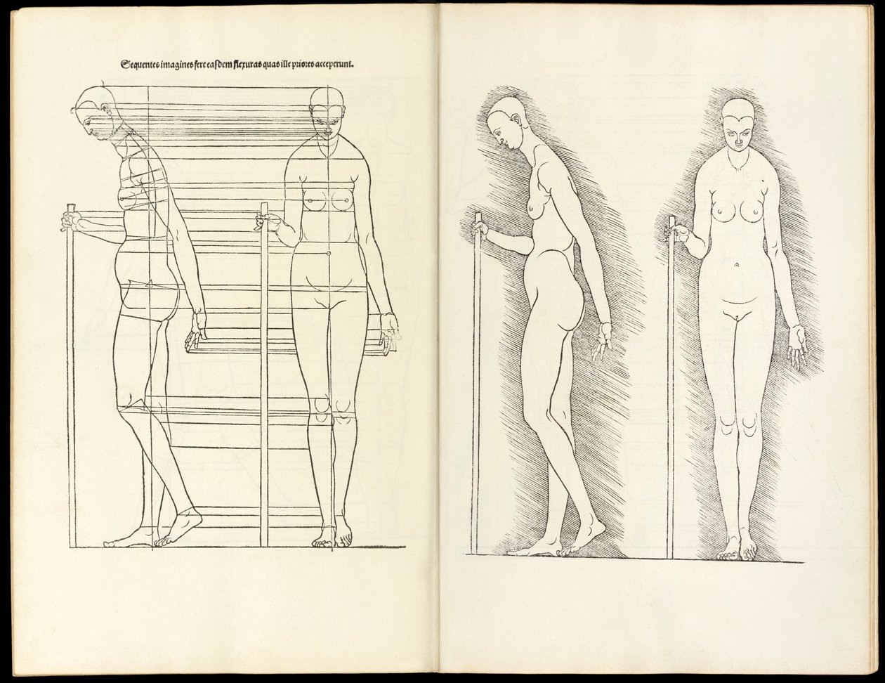 Kvinde med stav, anatomisk træsnit fra Heri er forstået fire bøger af menneskelig proportion, 1528 af Albrecht Dürer