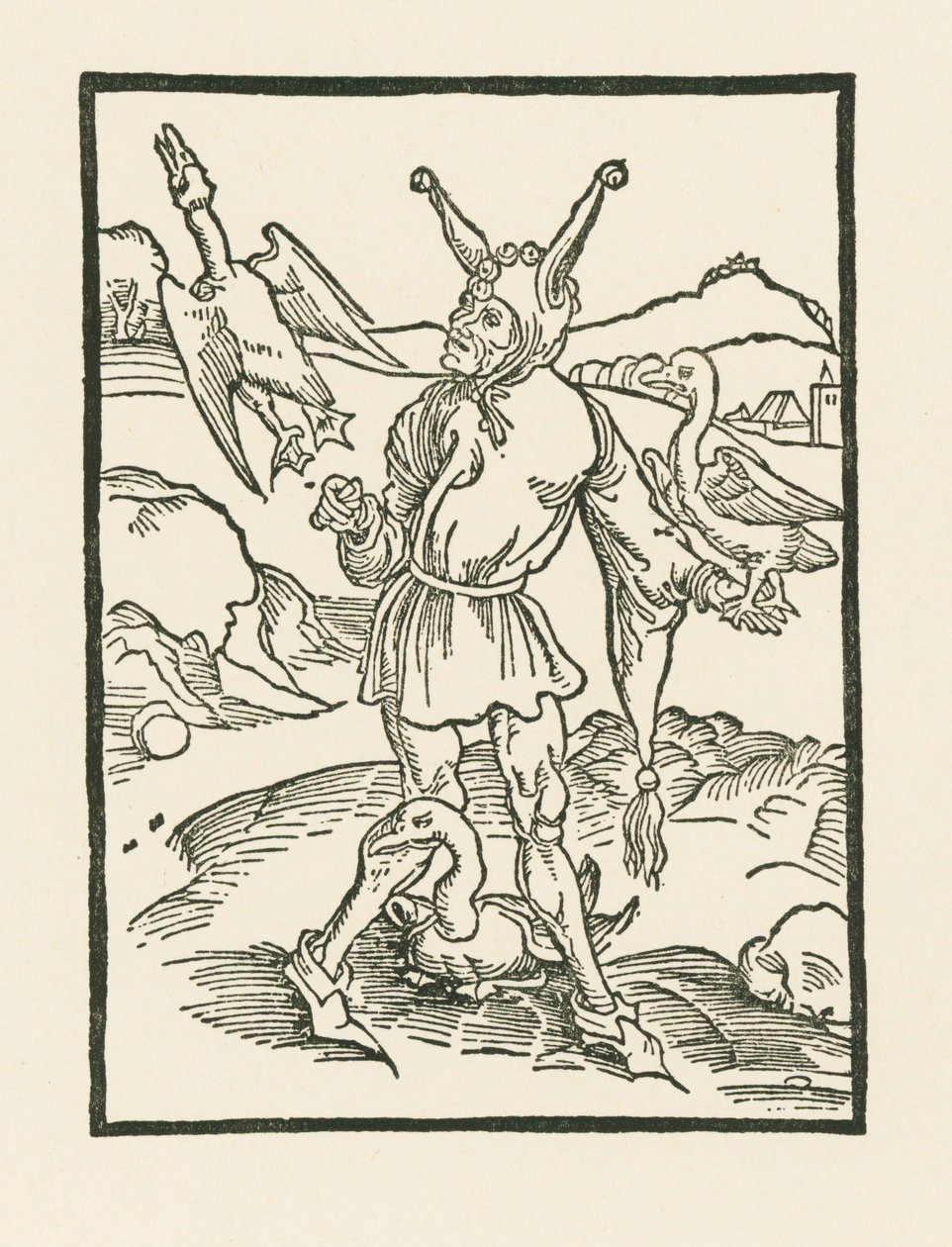 Narr hur as vern af Albrecht Dürer or Duerer