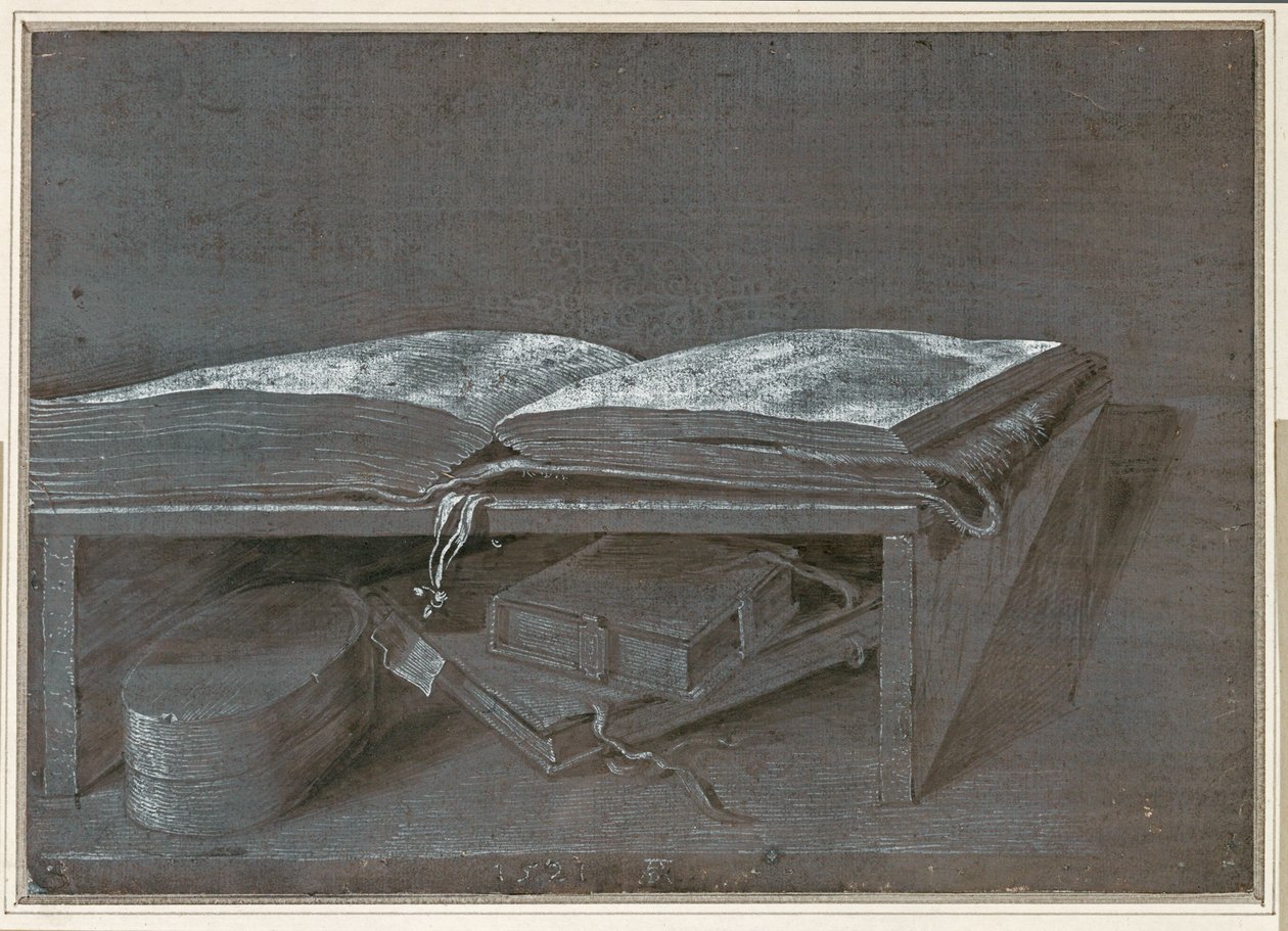 Open Book (penseltegning på brunt papir) af Albrecht Dürer or Duerer