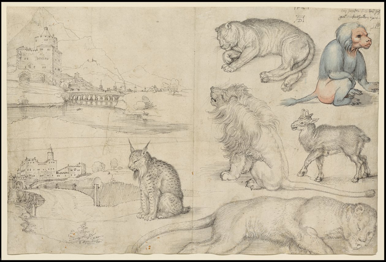 Skitser af dyr og landskaber, 1521 af Albrecht Dürer