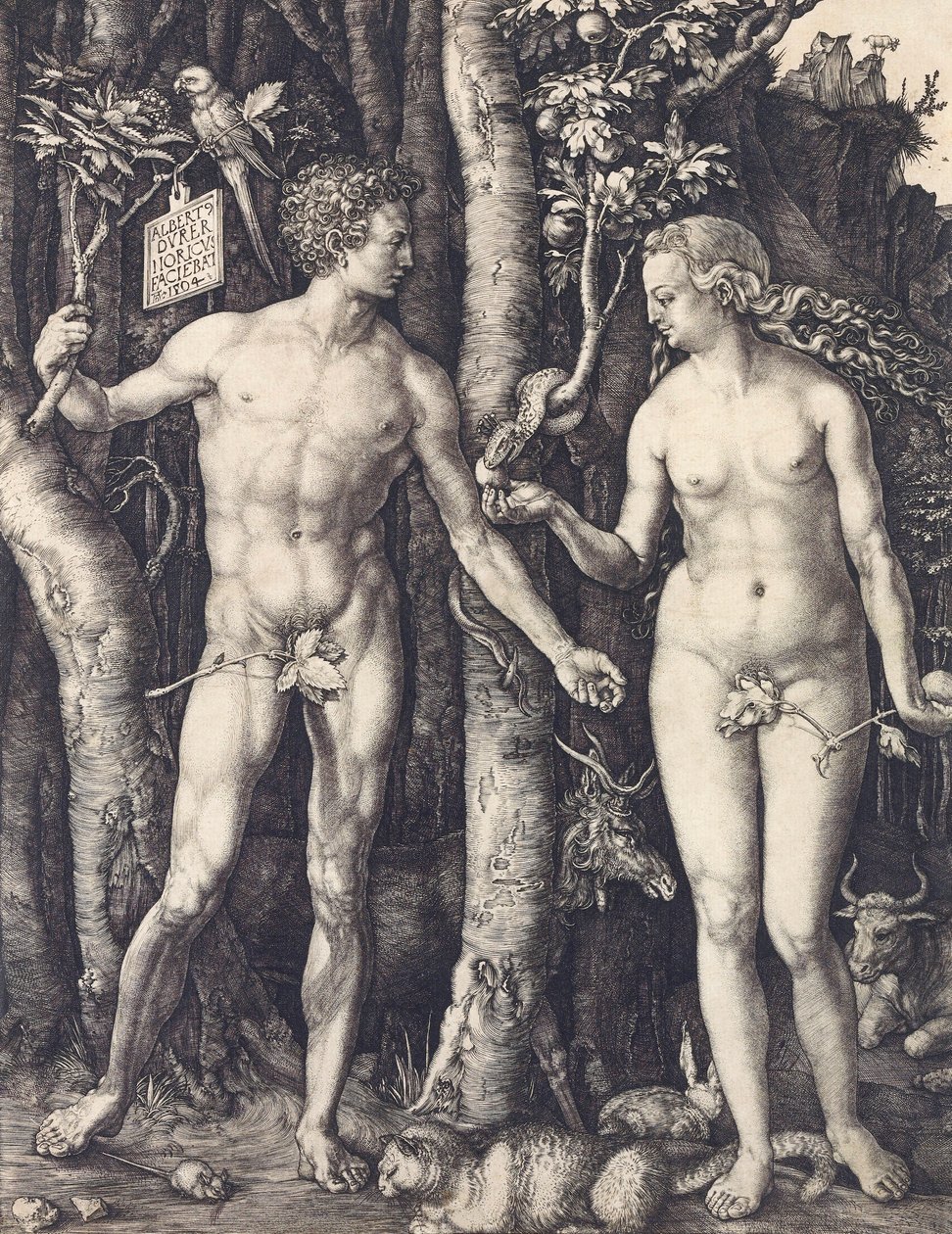Menneskets fald af Albrecht Durer af Albrecht Dürer