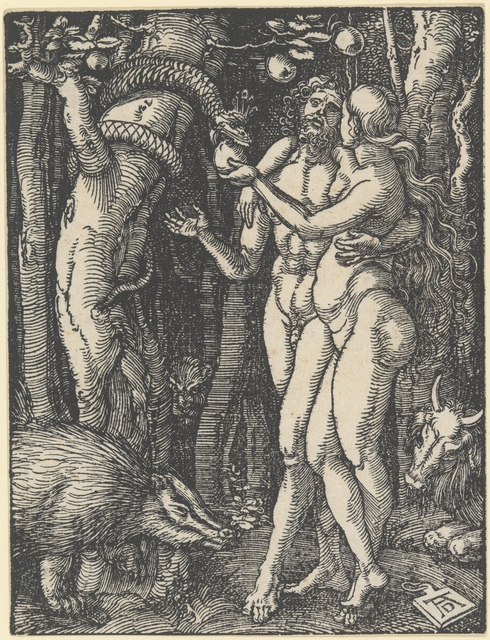 Menneskets fald, fra "Den lille lidenskab", ca. 1510 (træsnit) af Albrecht Dürer