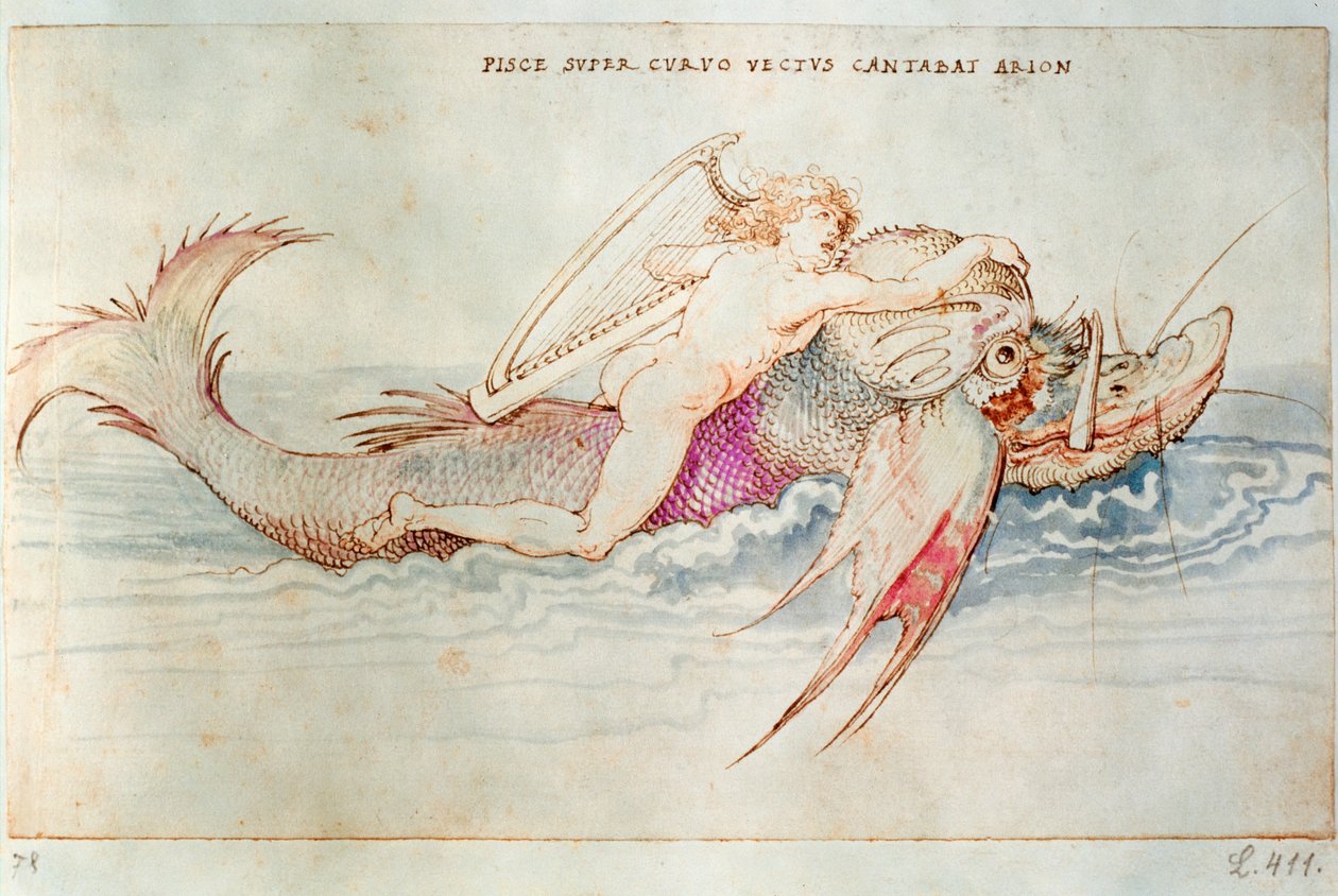 Den græske digter Arion rider på delfinen, ca. 1515 (akvarel på papir) af Albrecht Dürer or Duerer