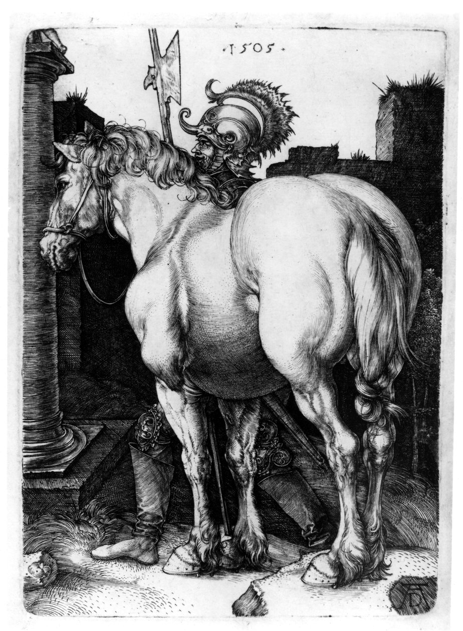 Den store hest, 1509 af Albrecht Dürer