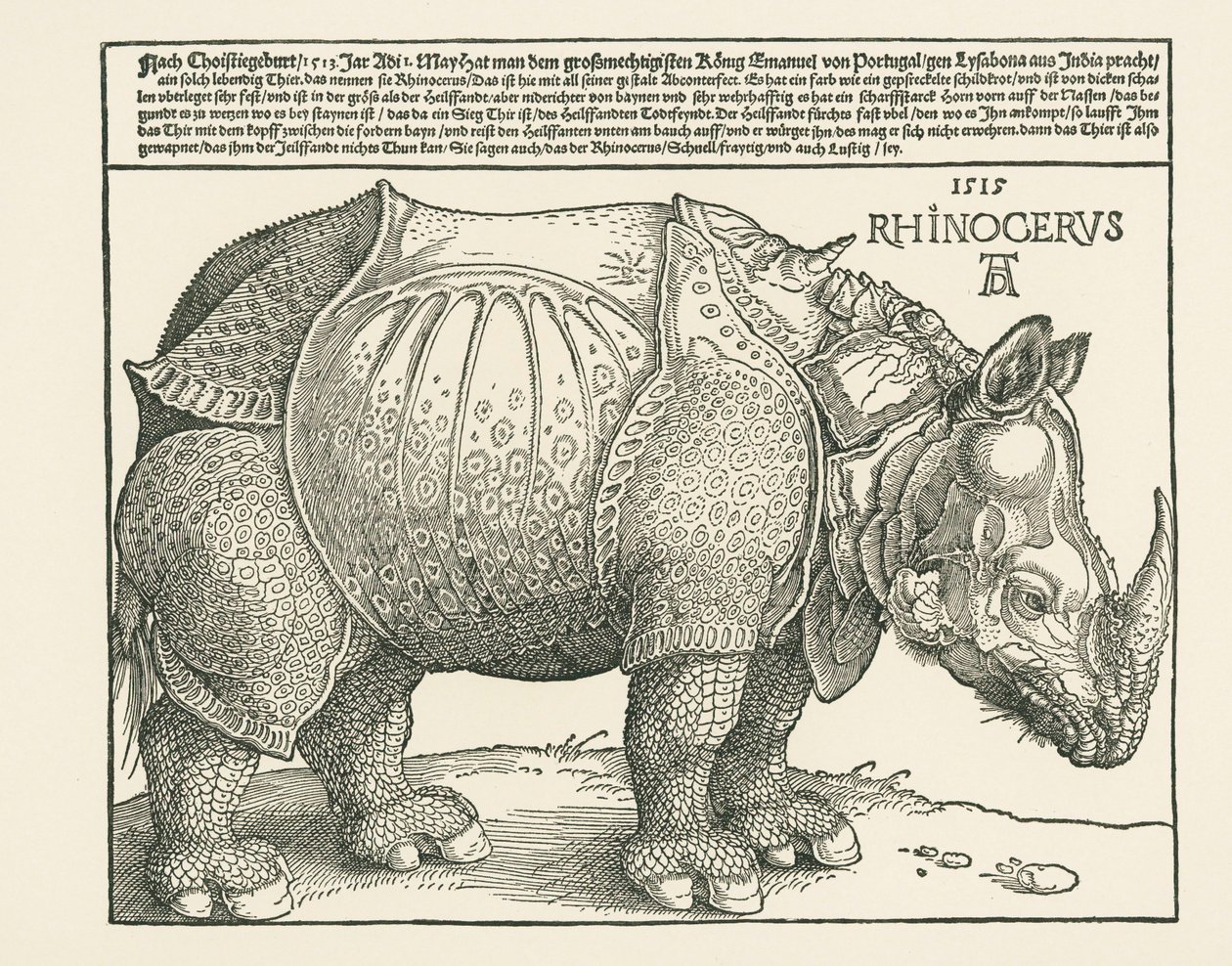 Næsehornet af Albrecht Dürer or Duerer