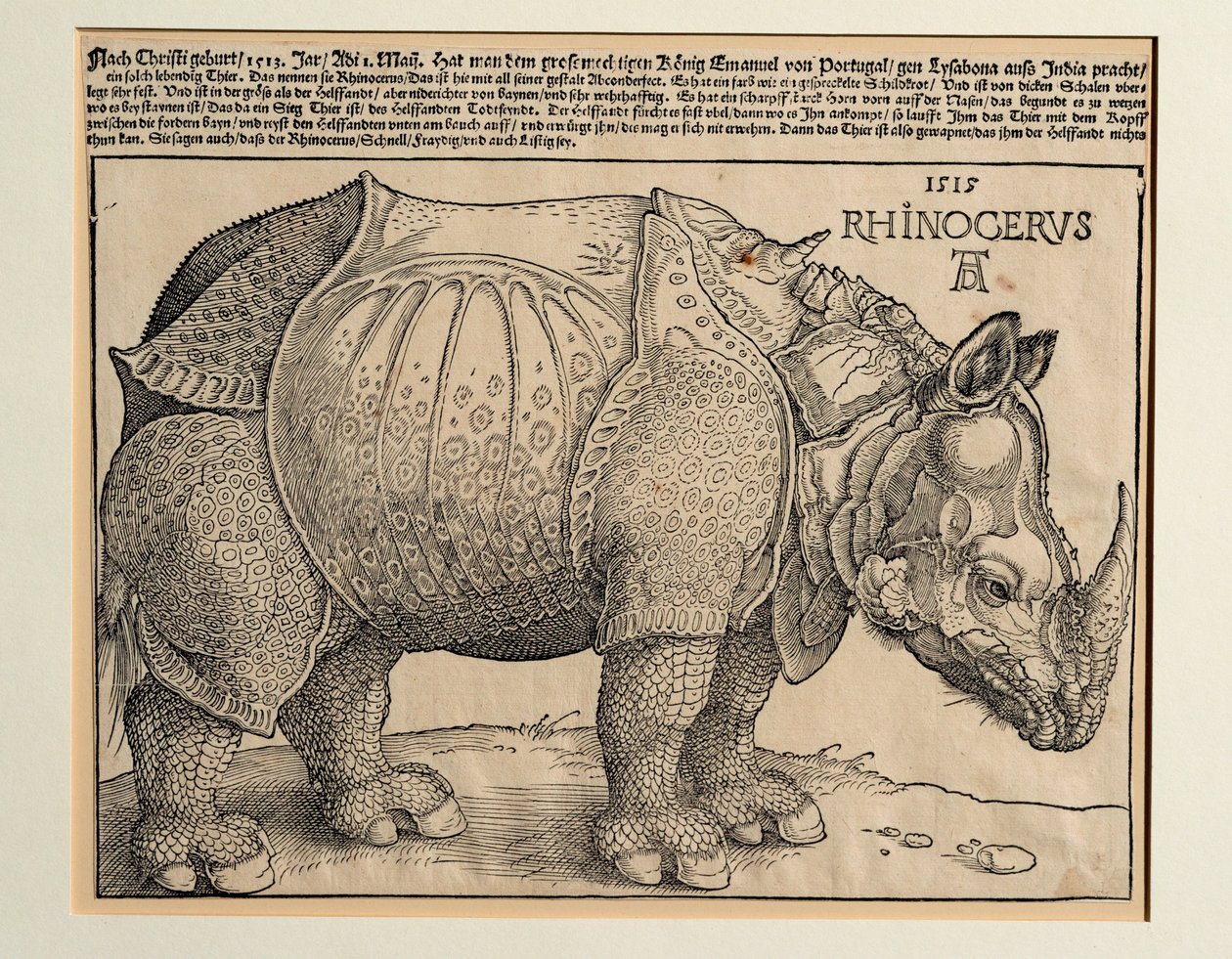 Næsehornet af Albrecht Dürer or Duerer