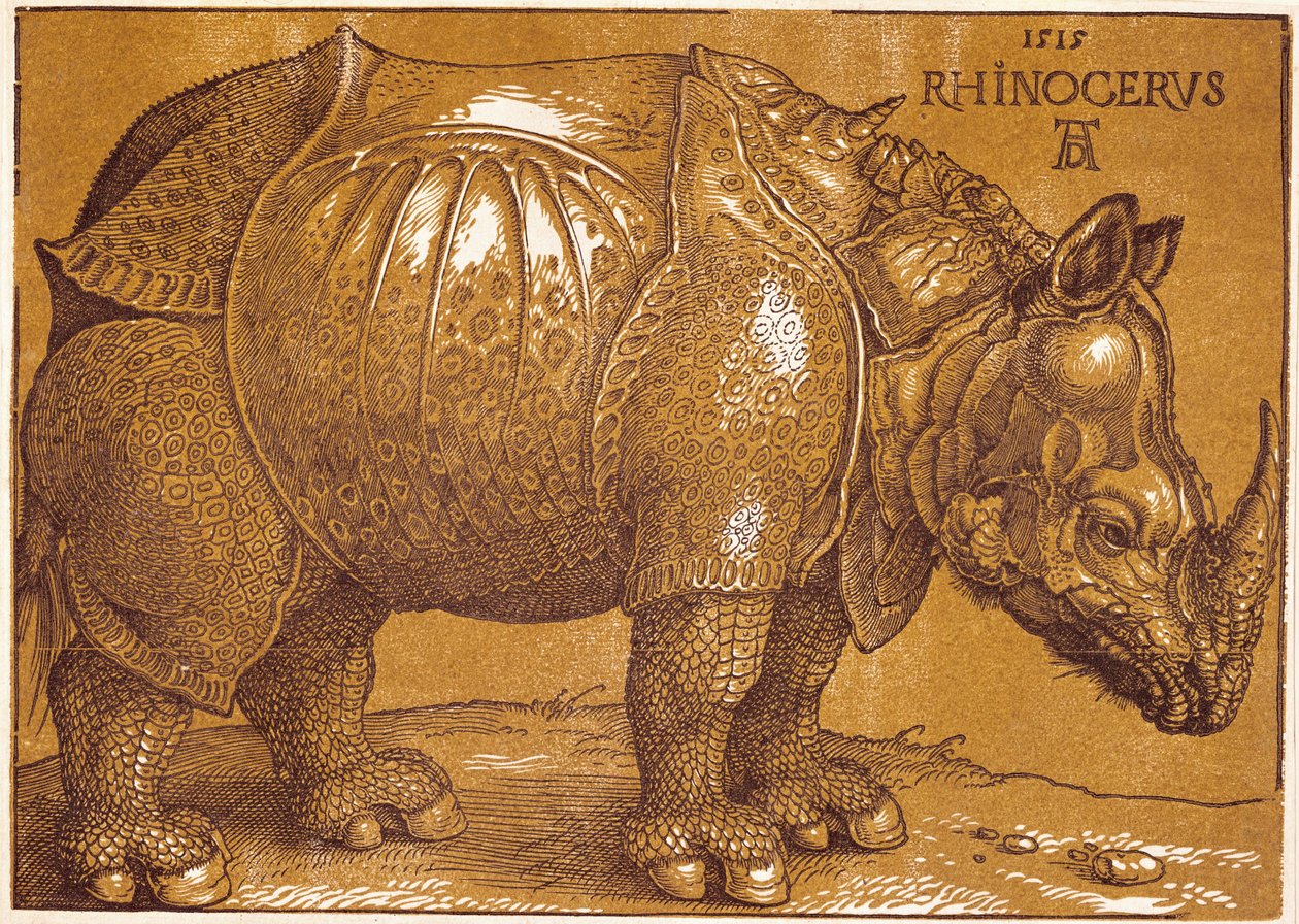 Næsehornet af Albrecht Dürer or Duerer