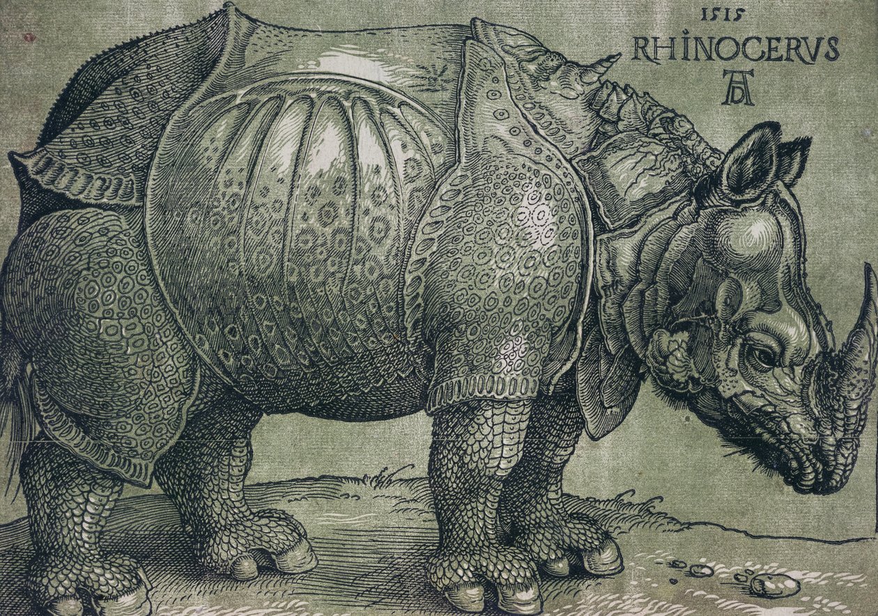 Næsehornet, 1515 af Albrecht Dürer