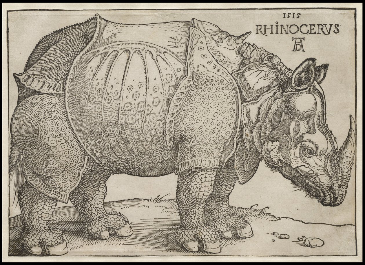 Næsehornet, 1515 af Albrecht Dürer