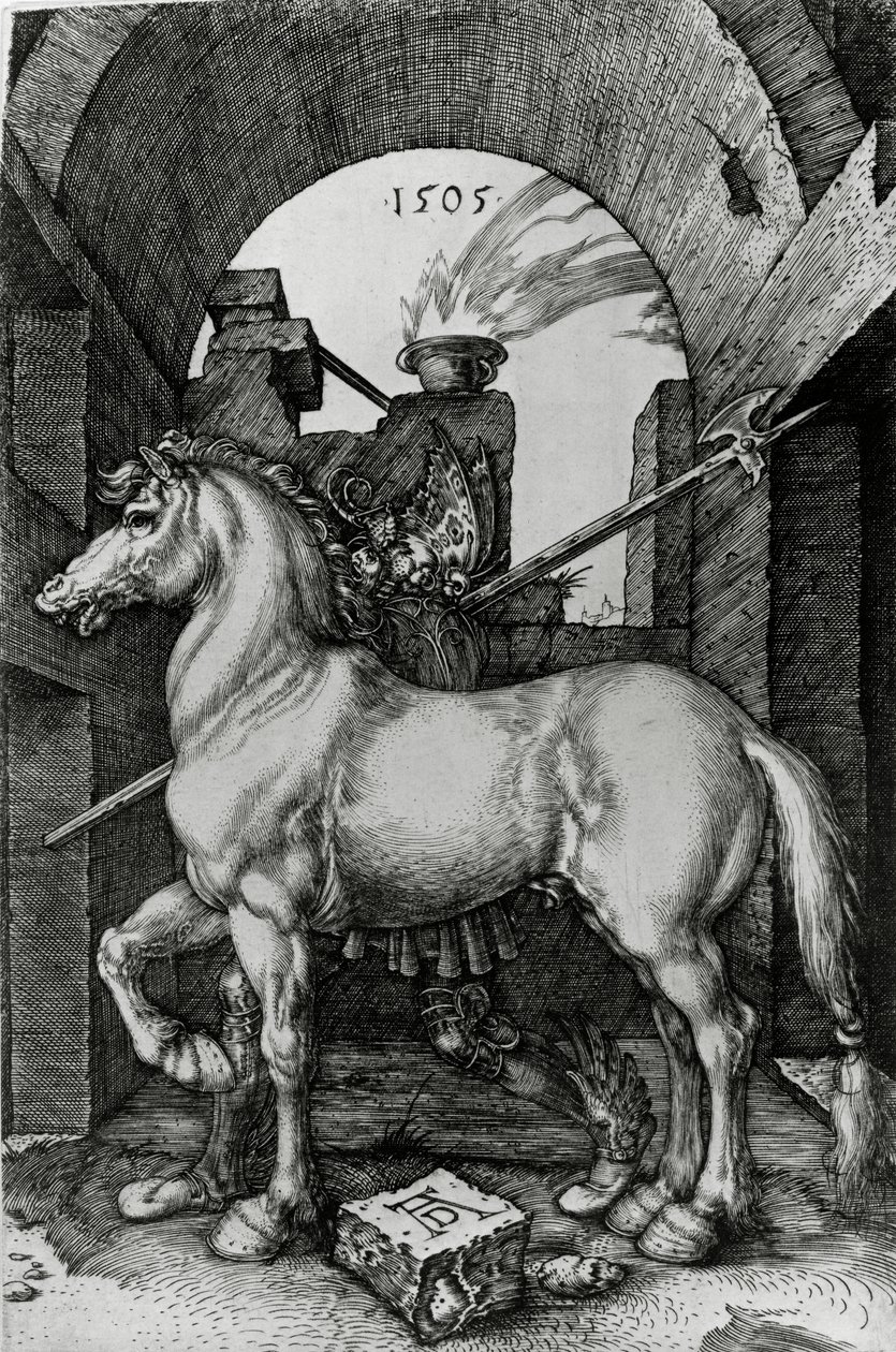 Den lille Hest af Albrecht Dürer