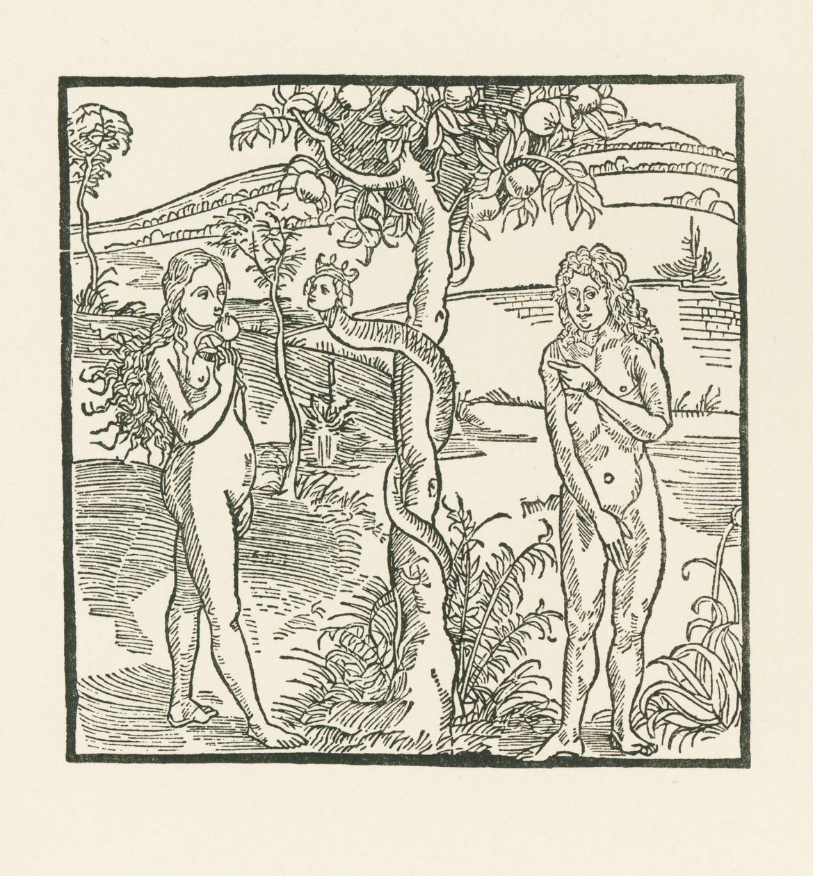 Faldet. Illustration til "Der Ritter von Turn" , ca. 1493-93 (træsnit) af Albrecht Dürer or Duerer