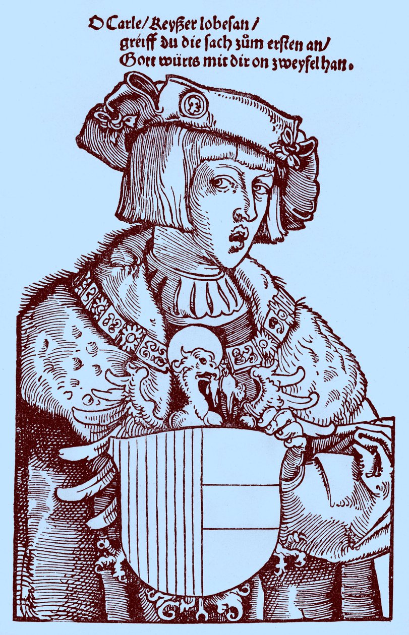 Ungdom Karl V (1500-1558) (gravering) af Albrecht Dürer