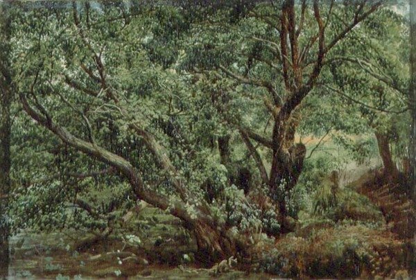 Træer ved en Strøm af Aleksandr Andreevich Ivanov