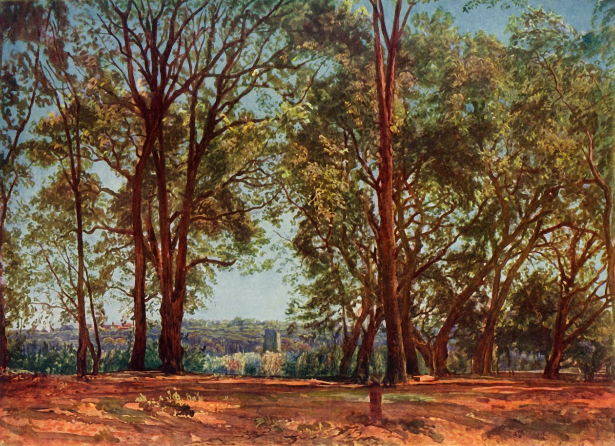 I Aricci Park, 1830