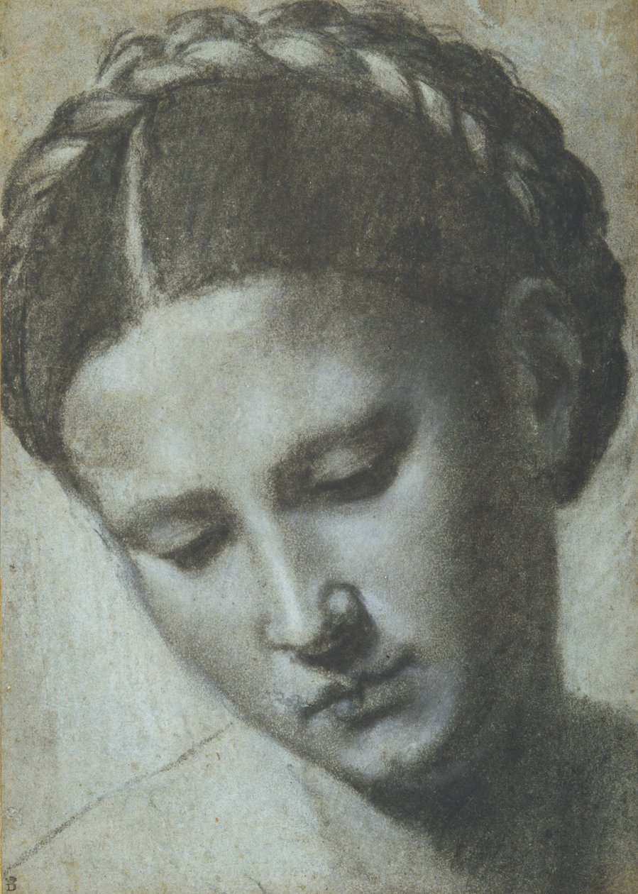 Et kvindehoved med flettet hår (kul & hvidt kridt på carta azzura) af Alessandro Bonvicino Moretto