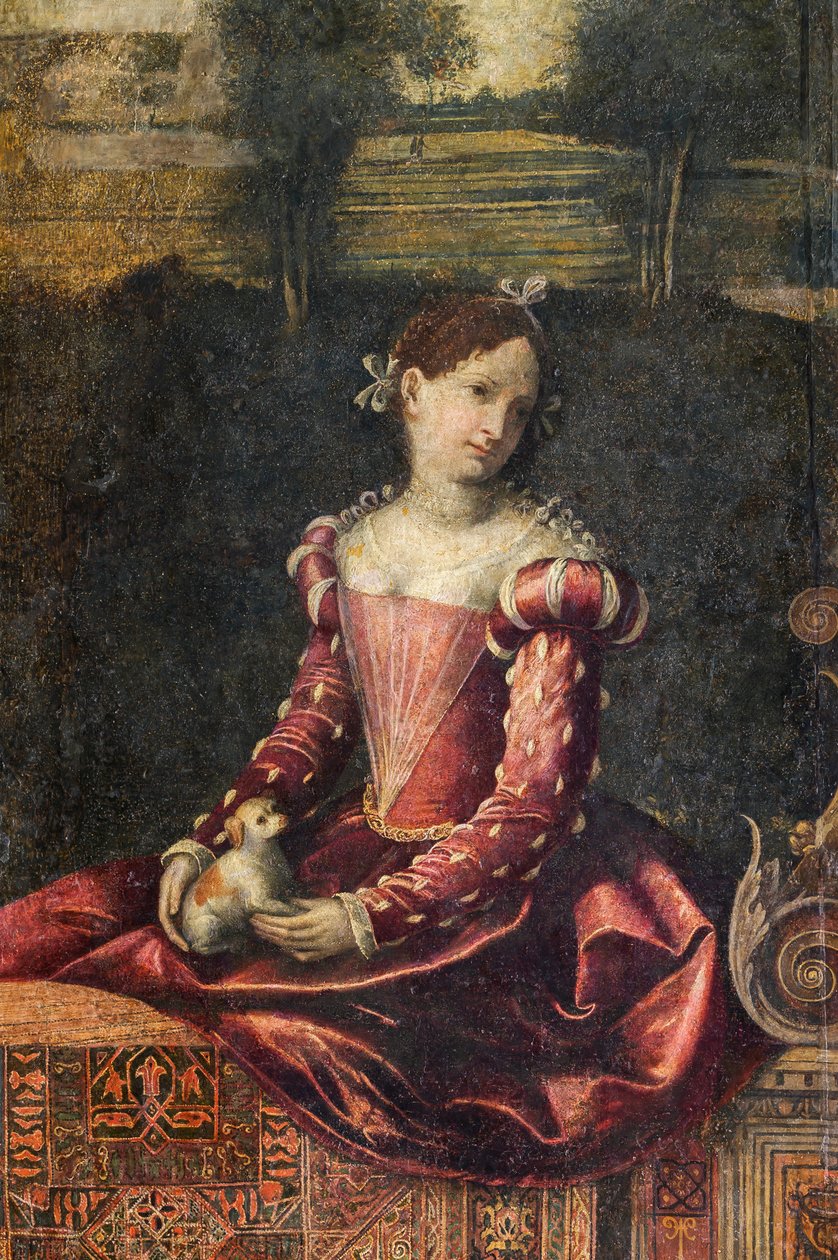 Portræt af en adelskvinde, detalje af de ædle damers lille værelse (olie på lærred limet til væggene) af Alessandro Bonvicino Moretto