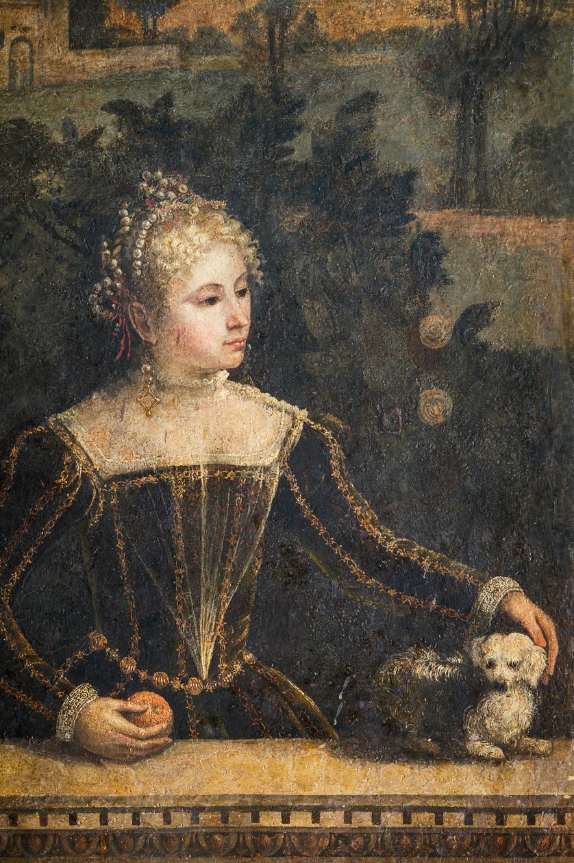 Portræt af en adelskvinde, detalje af de ædle damers lille værelse (olie på lærred limet til væggene) af Alessandro Bonvicino Moretto