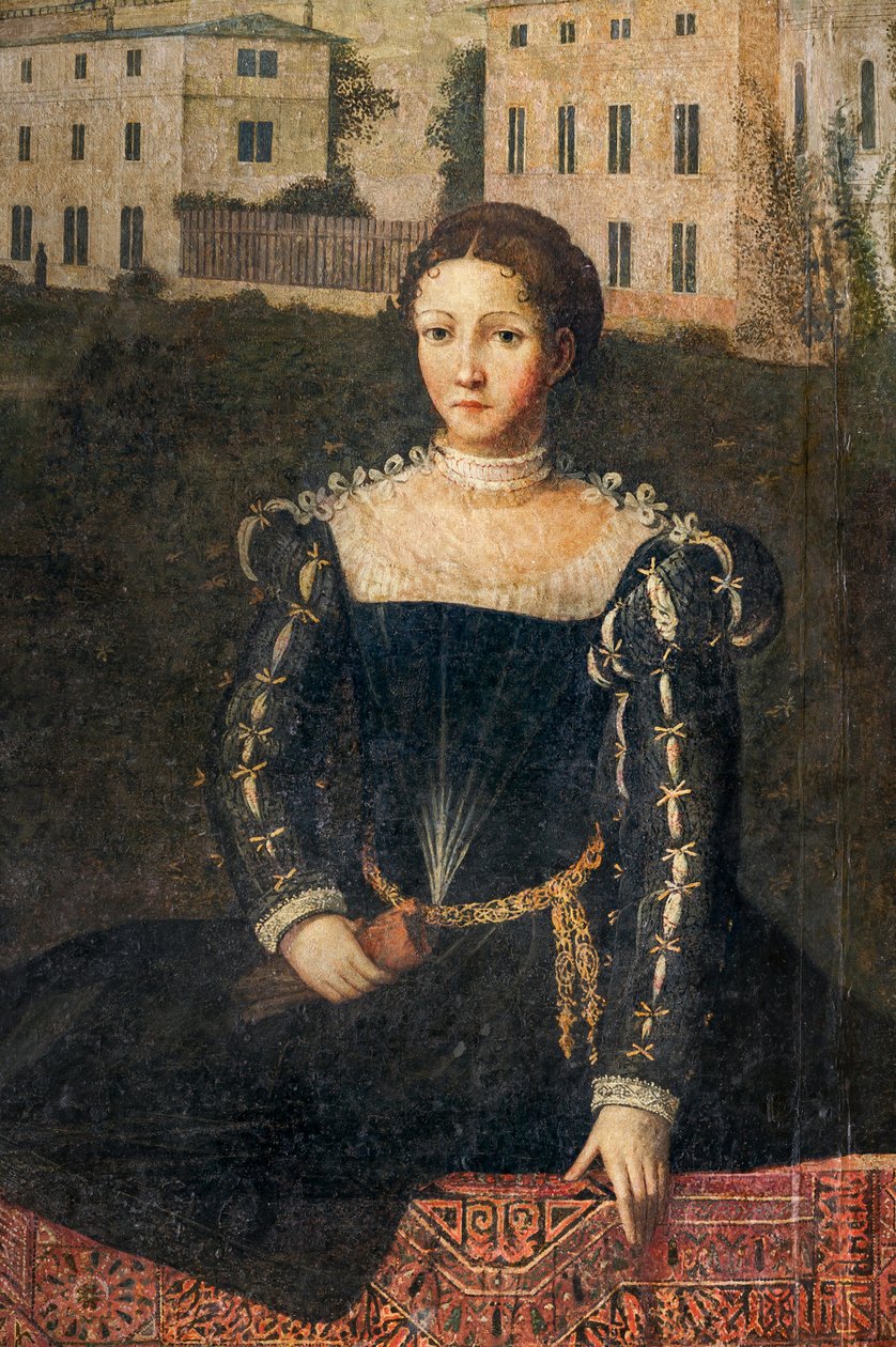 Portræt af en adelskvinde, detalje af de ædle damers lille værelse (olie på lærred limet til væggene) af Alessandro Bonvicino Moretto