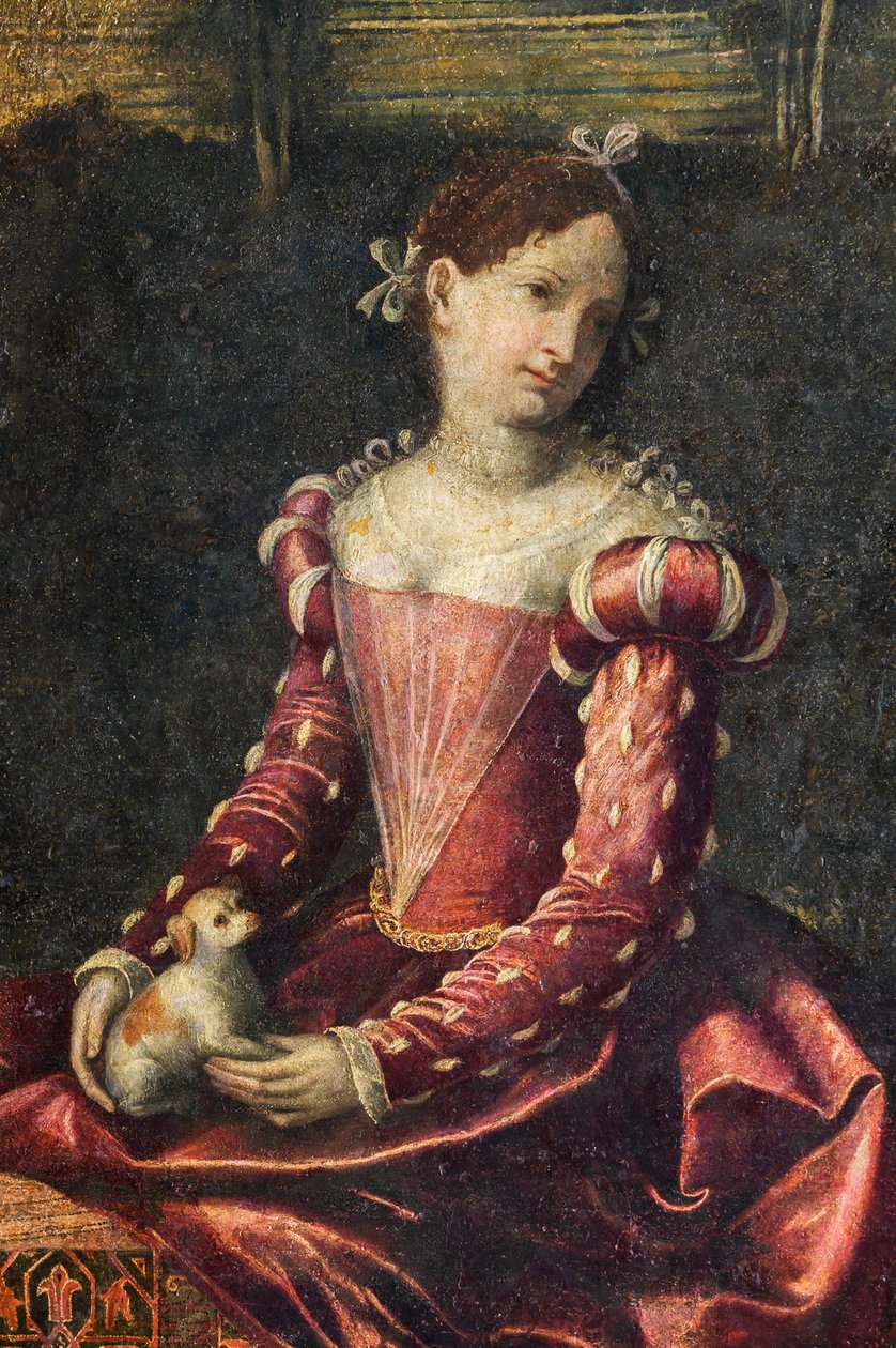 Portræt af en adelskvinde, detalje af de ædle damers lille værelse (olie på lærred limet til væggene) af Alessandro Bonvicino Moretto