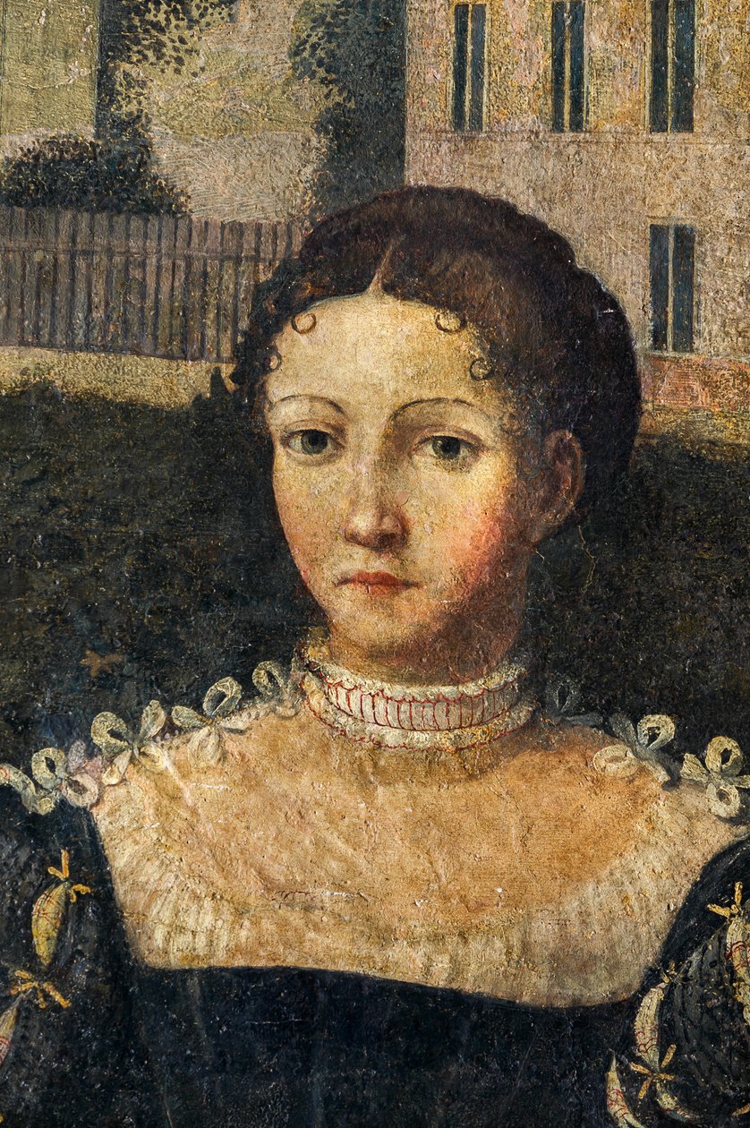 Portræt af en adelskvinde, detalje af de ædle damers lille værelse (olie på lærred limet til væggene) af Alessandro Bonvicino Moretto