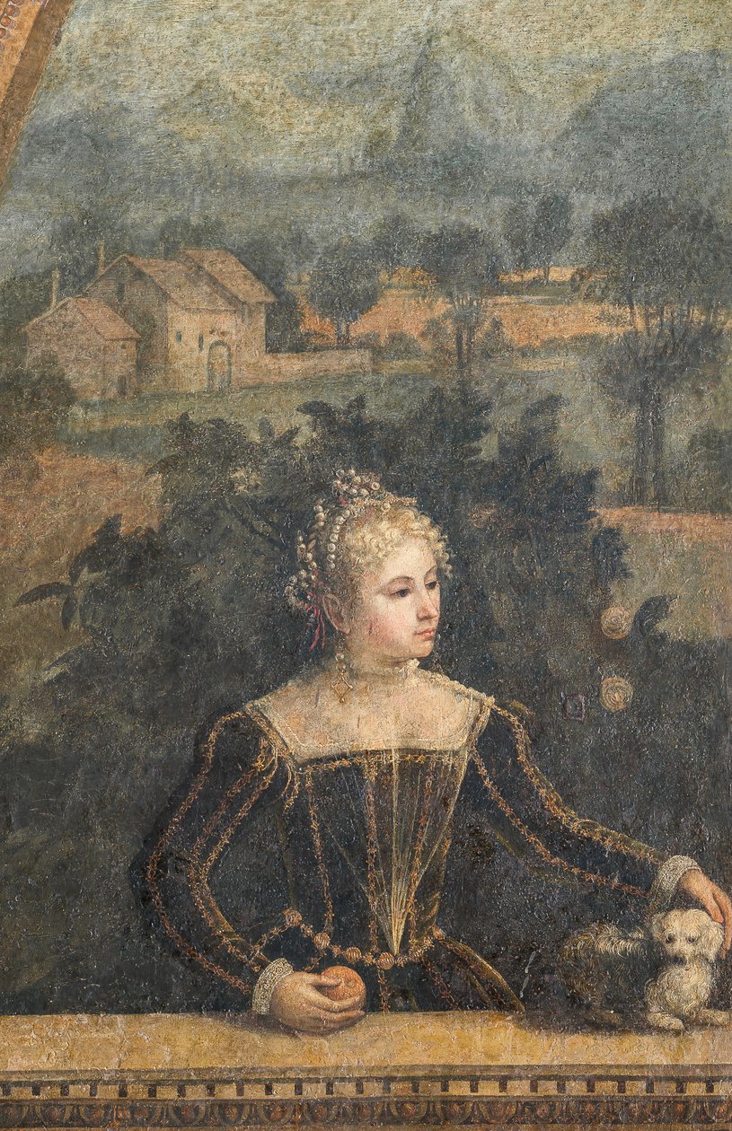 Portræt af en adelskvinde, detalje af de ædle damers lille værelse (olie på lærred limet til væggene) af Alessandro Bonvicino Moretto