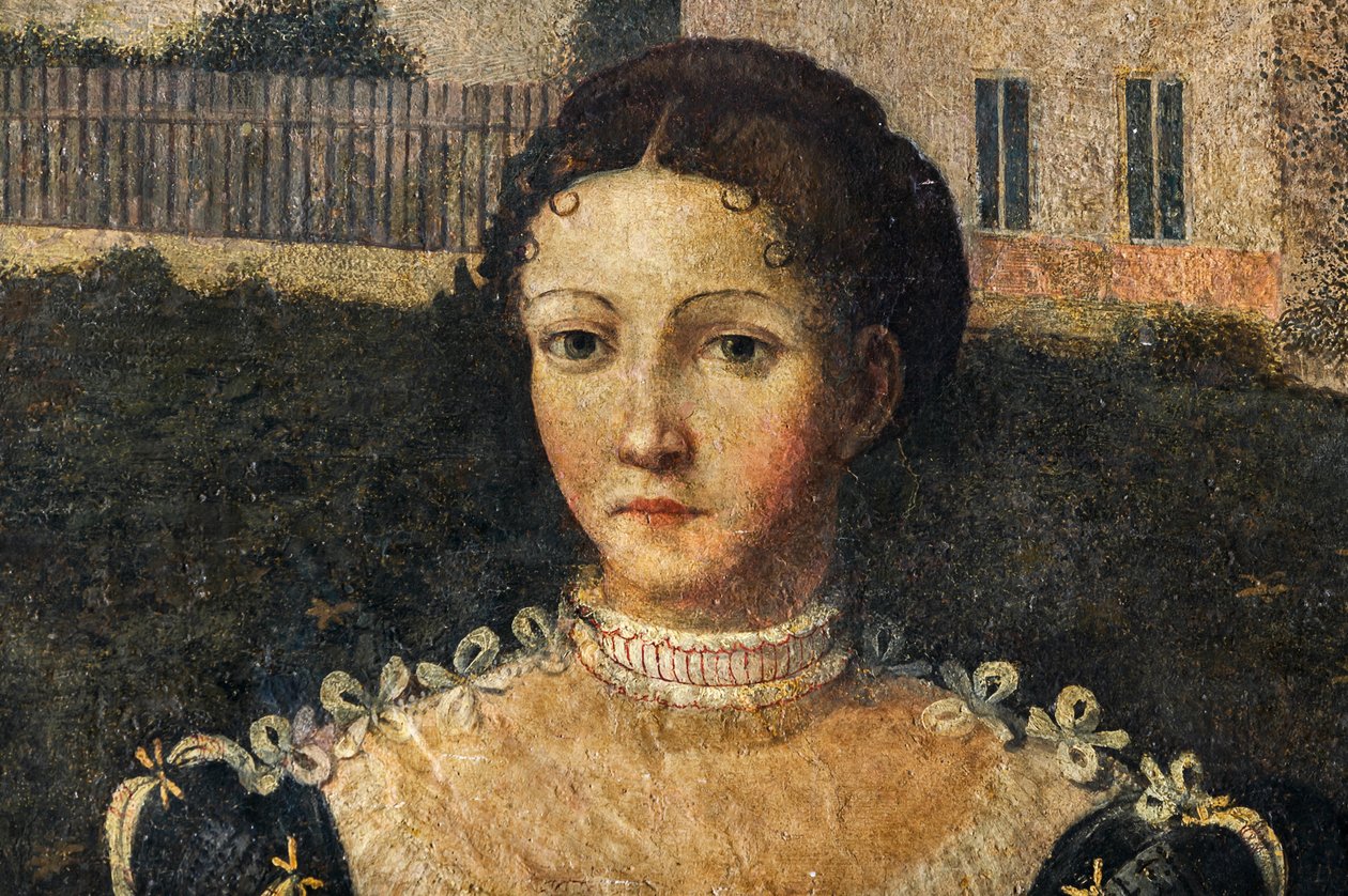 Portræt af en adelskvinde, detalje af de ædle damers lille værelse (olie på lærred limet til væggene) af Alessandro Bonvicino Moretto