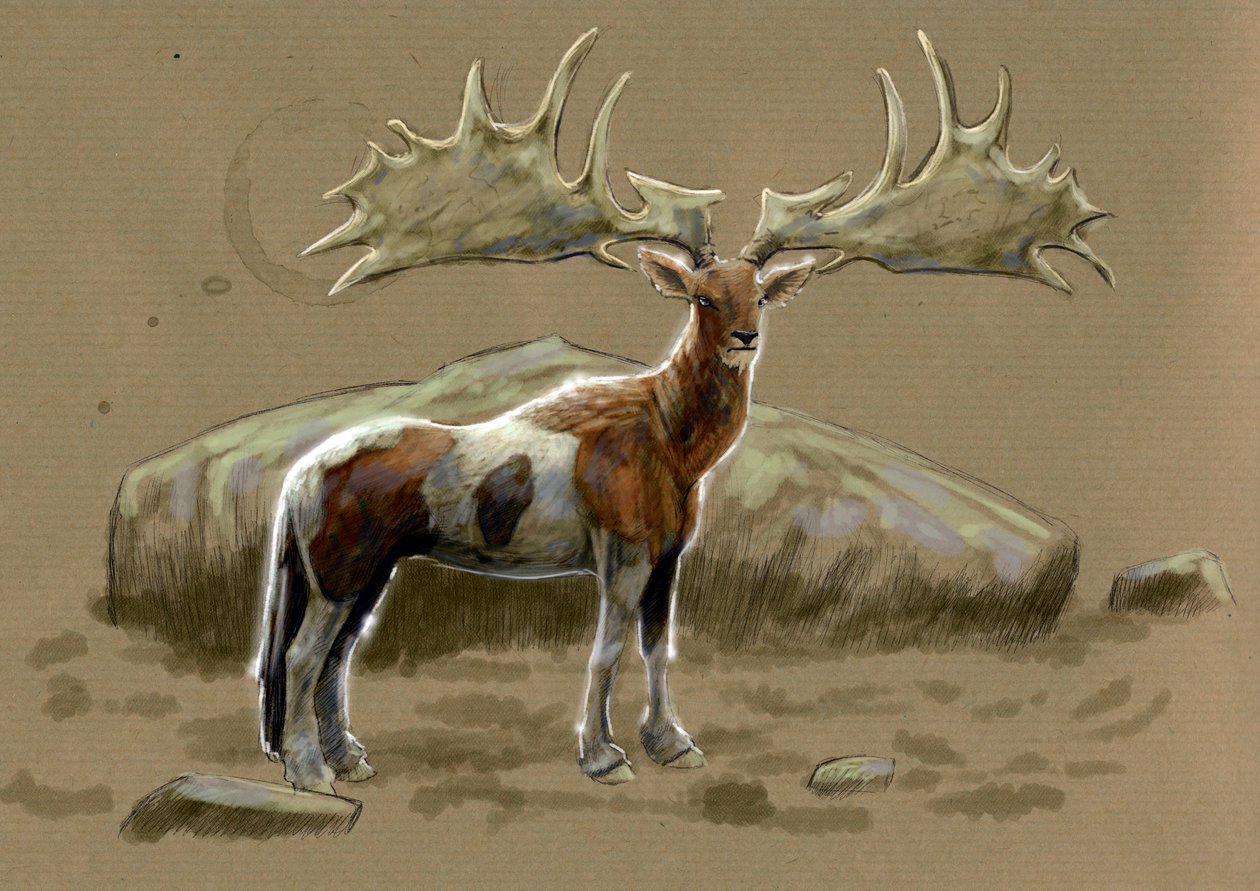 Fantastiske monstre og væsner, kryptozoologi: repræsentation af en hippocerf - Tegning af Alessandro Lonati, 2012 af Alessandro Lonati