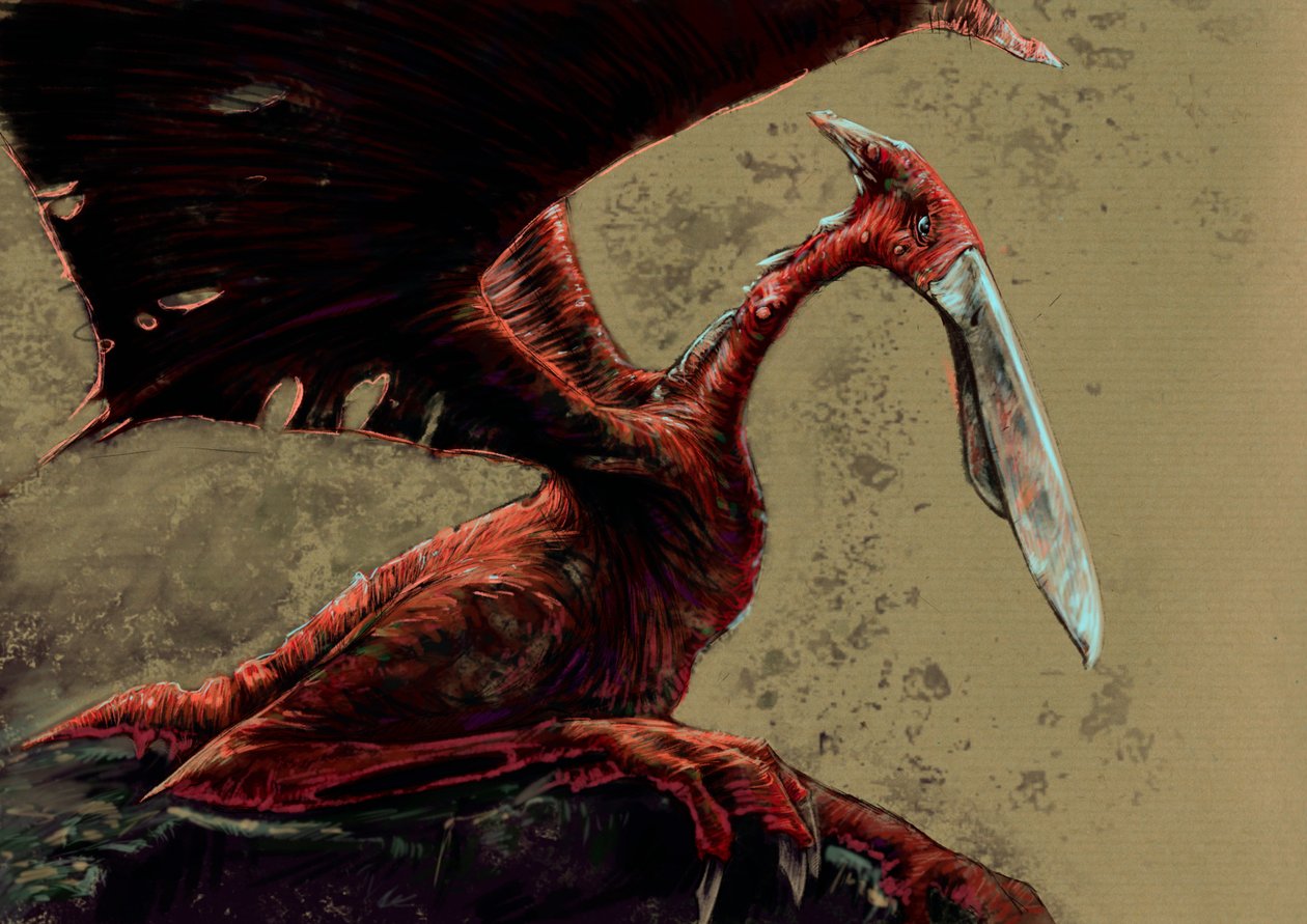 Fantastiske monstre og væsner, kryptozoologi: repræsentation af en kongamato, et flygtigt pterosaur-lignende væsen, der siges at være blevet set i Mwinilunga-distriktets Jiundu-sumpe i det vestlige Zambia - Tegning af Alessandro Lonati, 2012 af Alessandro Lonati