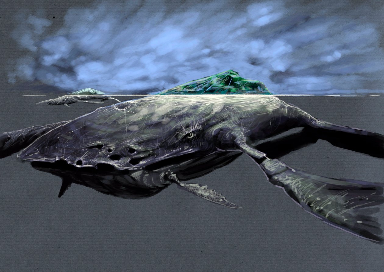 Fantastiske monstre og væsner, kryptozoologi: repræsentation af en zaratan, monstrøs havskildpadde, der ligner en ø Tegning af Alessandro Lonati, 2012 af Alessandro Lonati