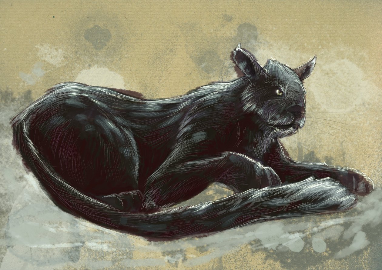 Fantastiske monstre og væsner, kryptozoologi: repræsentation af Bete of Exmoor, set i Devon og Somerset i England - Tegning af Alessandro Lonati, 2012 af Alessandro Lonati