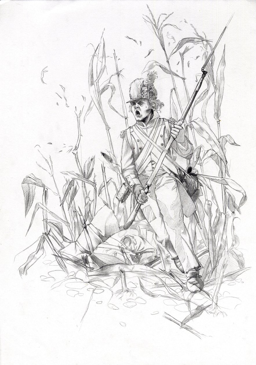 Første imperium (1804-1814 og 1815): soldat fra Napoleons hær, infanterist stormede gennem en majsmark med en såret kammerat. Tegning af Alessandro Lonati af Alessandro Lonati