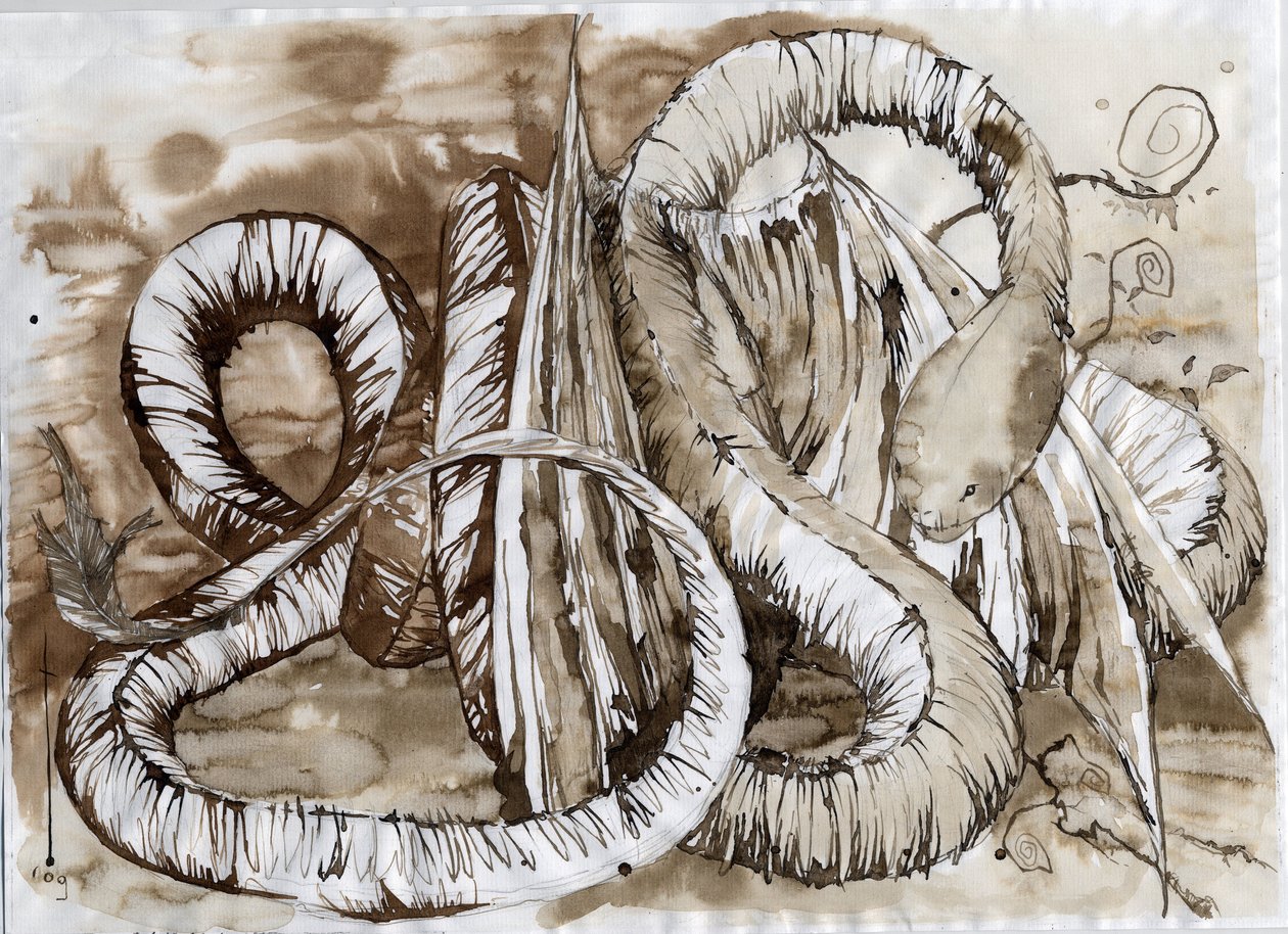 Illustration af et fantastisk og legendarisk dyr: drage med en slangelang krop. Farvetegning af Alessandro Lonati. af Alessandro Lonati