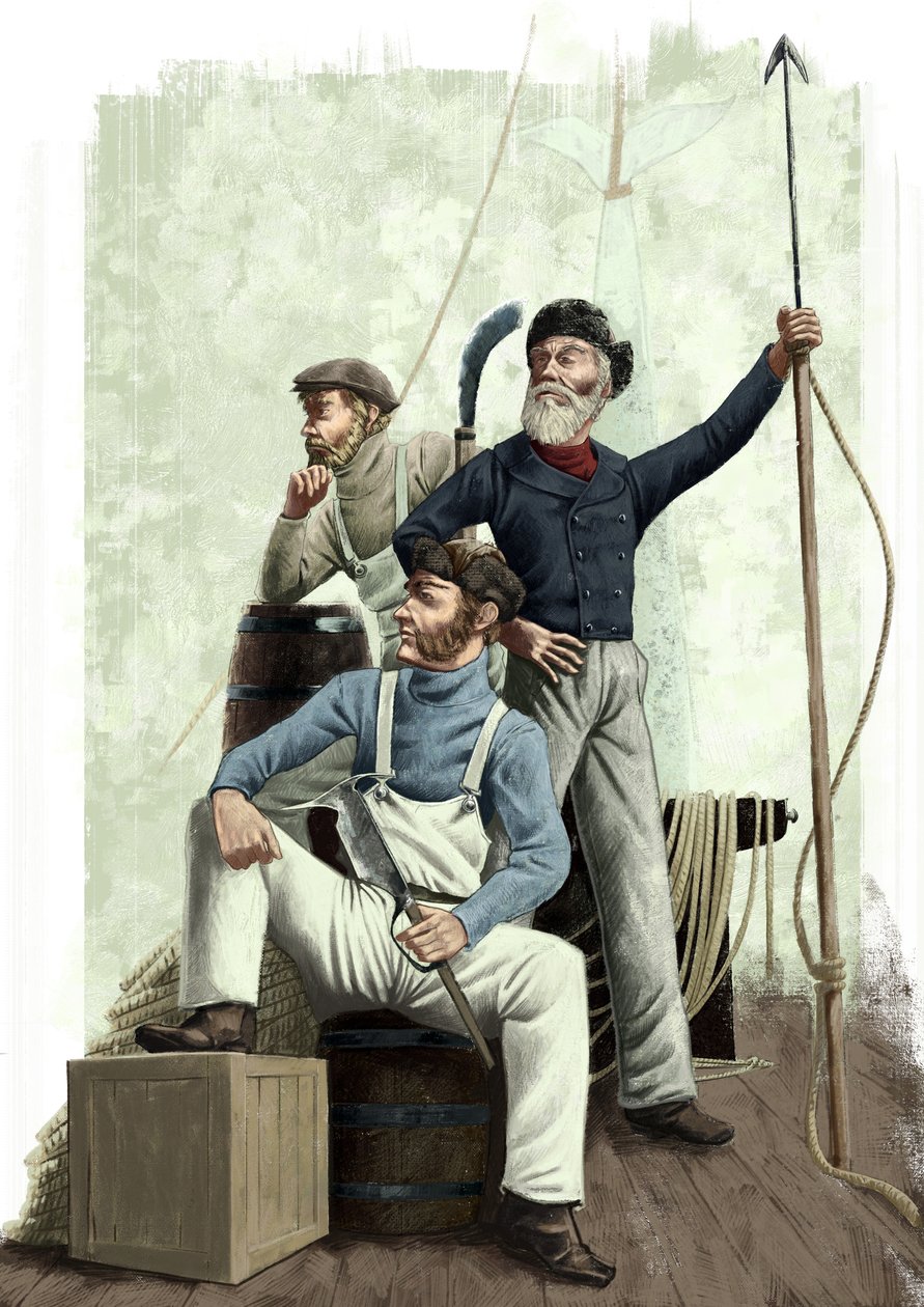Tre hvaler af Alessandro Lonati