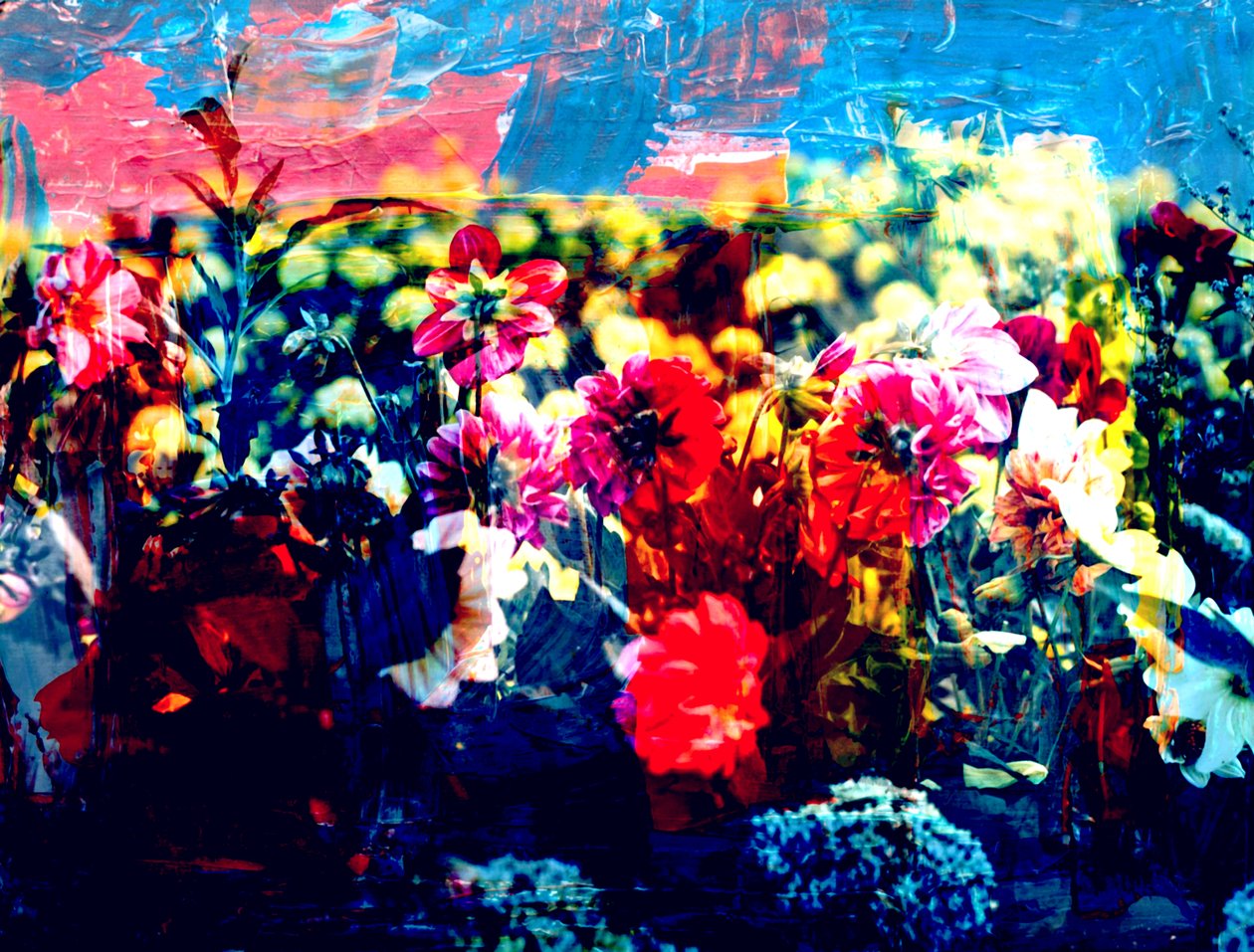 Field, 2019, (collage) af Alex Caminker