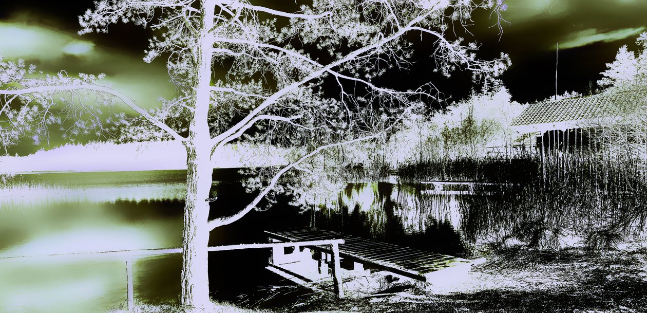 Secret Garden, 2019, (fotografi) af Alex Caminker