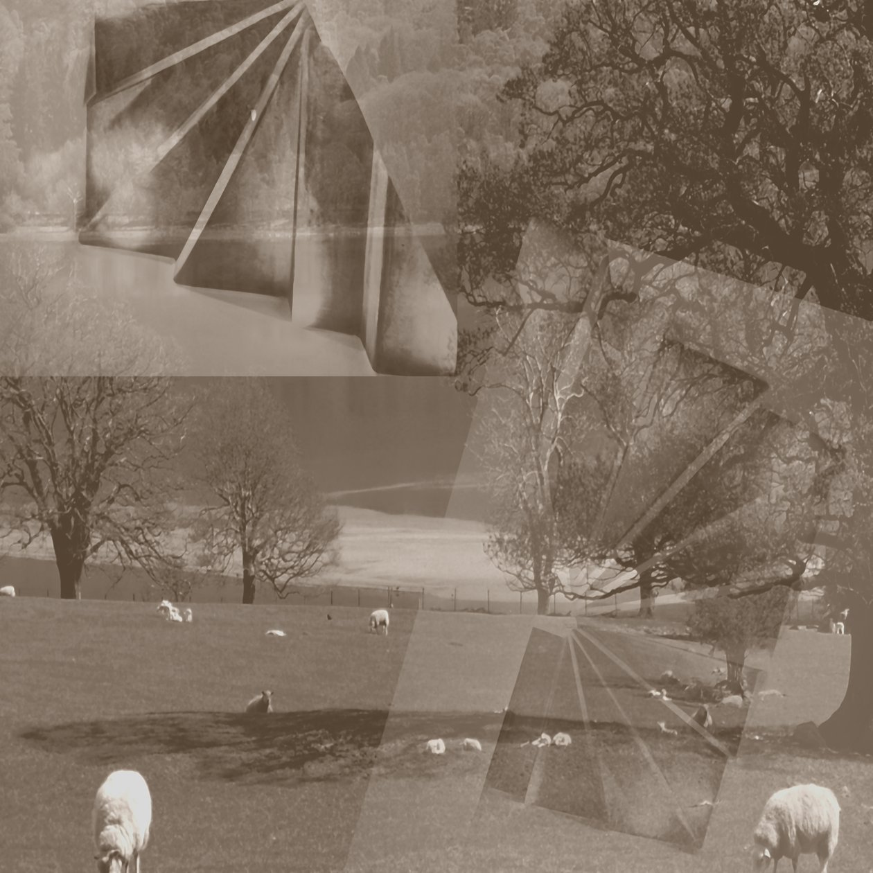Får, 2019, (blandet medier, collage; fundne objekter) af Alex Caminker