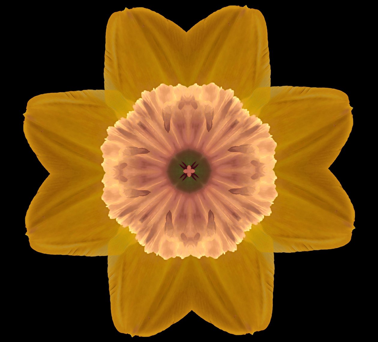 Symmetry, 2019, (fotografi) af Alex Caminker