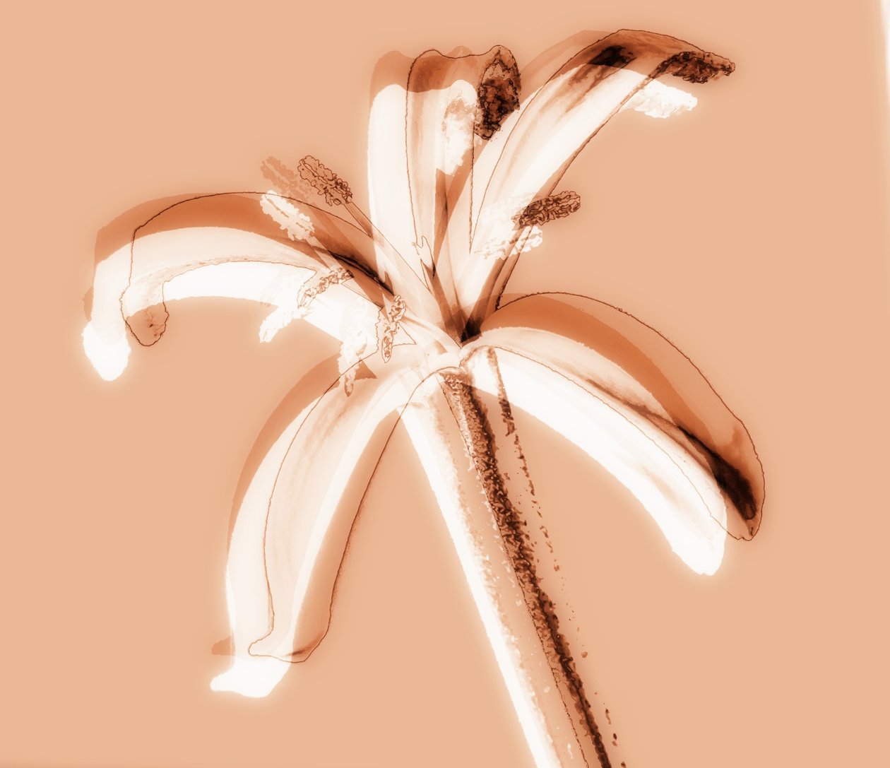 Uden titel, 2019, (blandet medier) af Alex Caminker