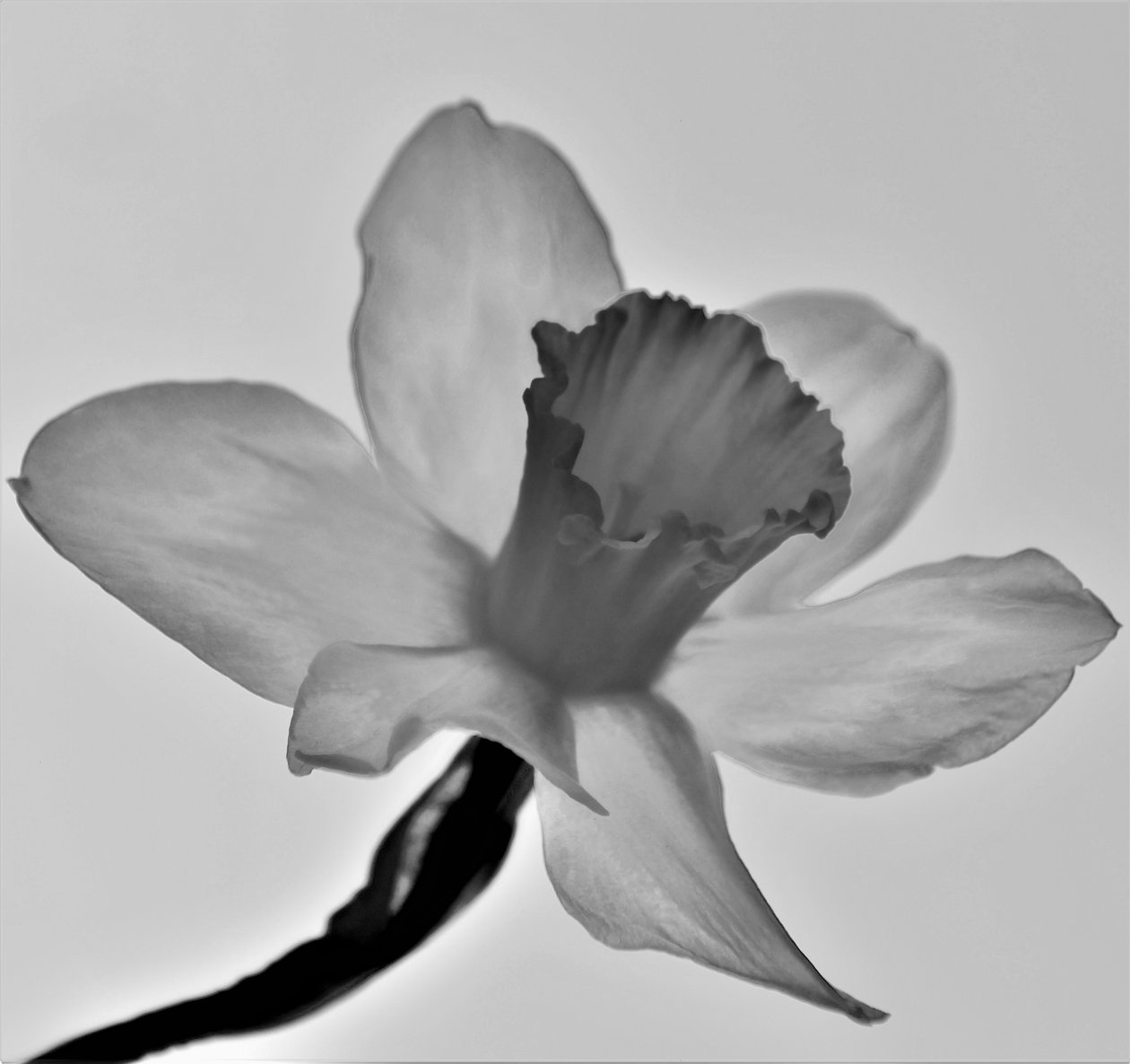 Uden titel, 2019, (fotografi) af Alex Caminker